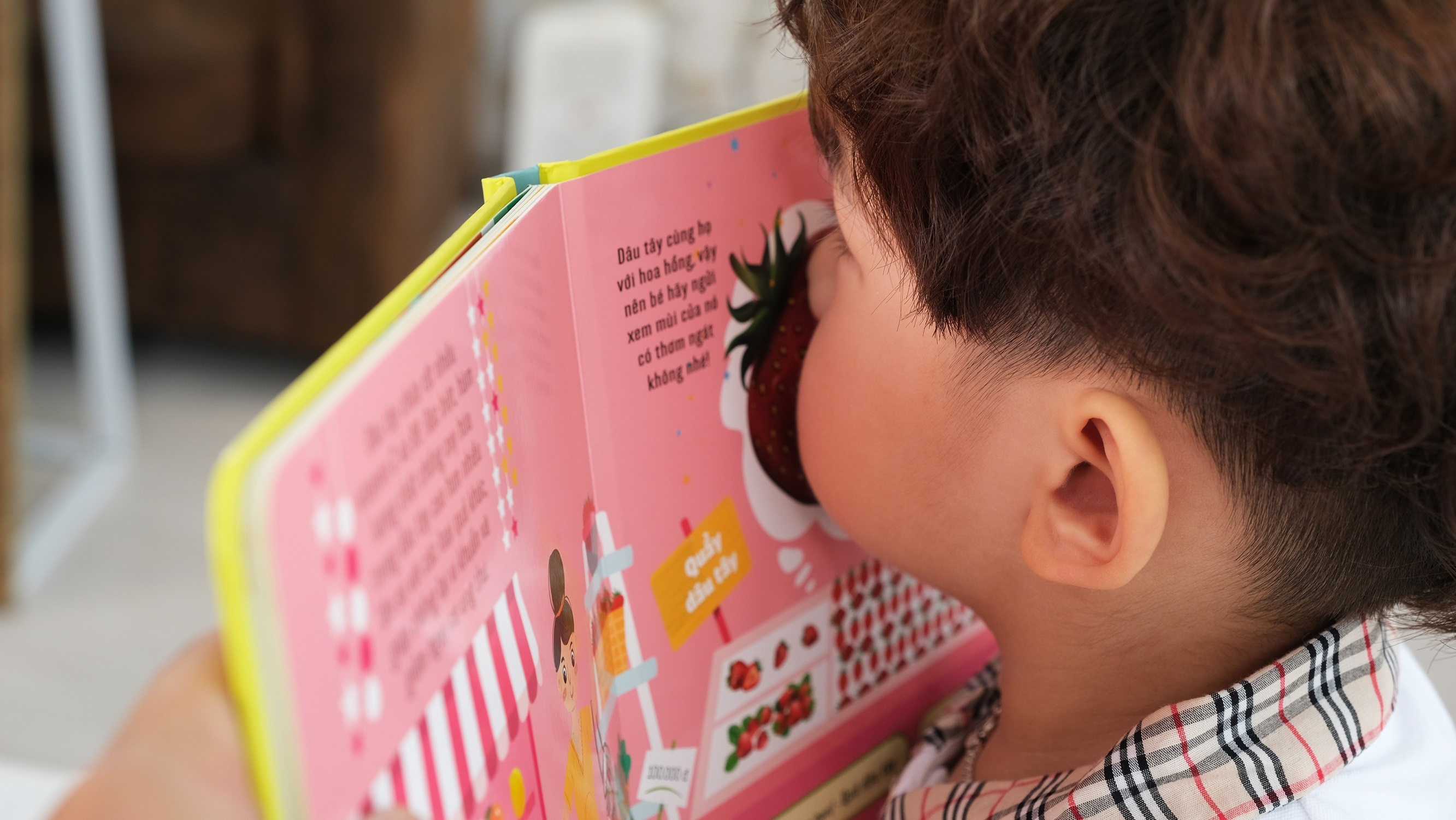 Bo sach toa ra mui huong dau tien tai Viet Nam hinh anh