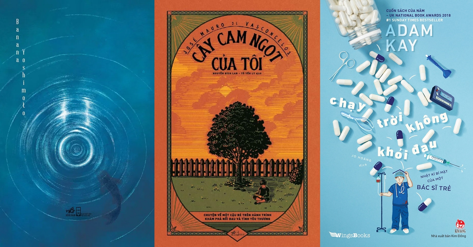 Hoa si ve bia sach anh 5