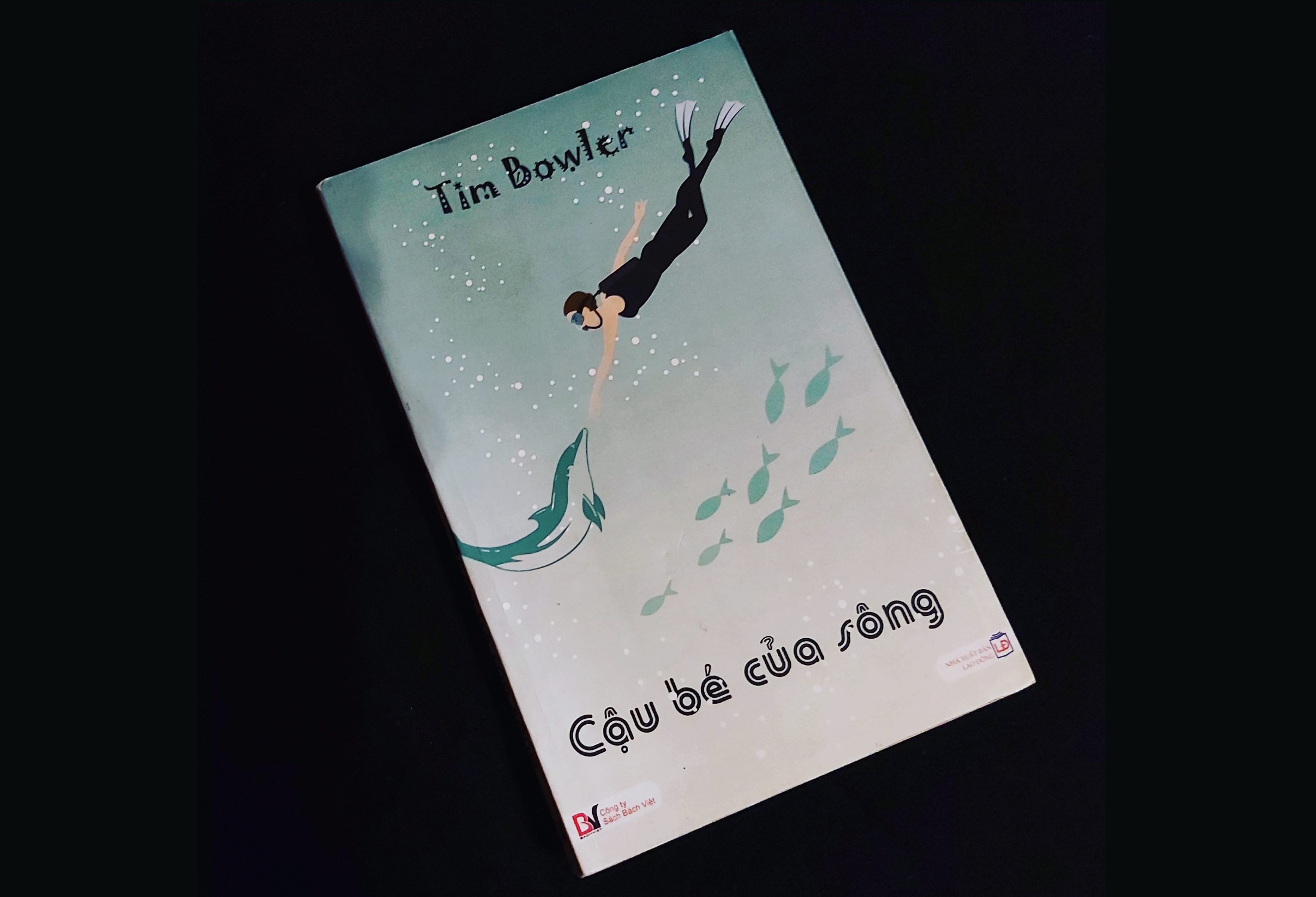 Huan chuong Carnegie anh 8