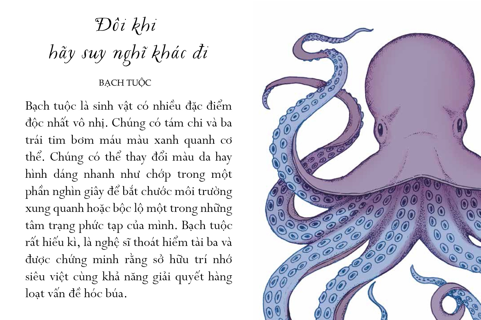 Sach Song mot doi tua bien khoi anh 10