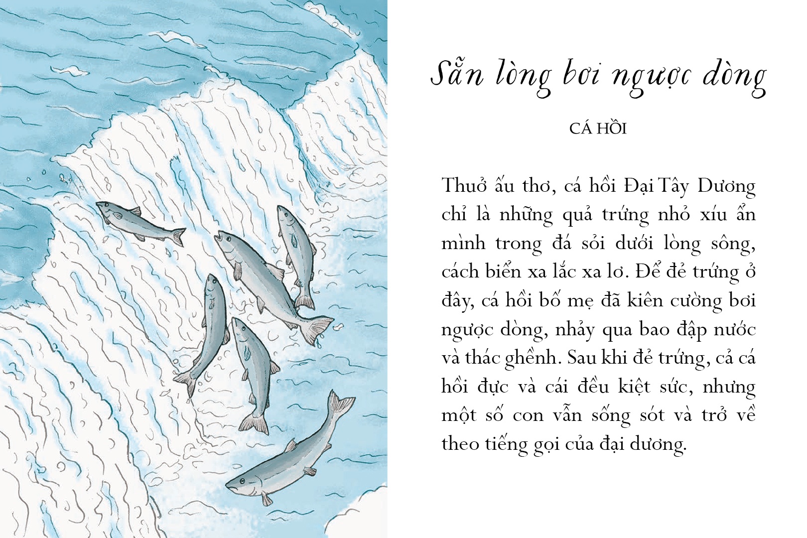 Sach Song mot doi tua bien khoi anh 3