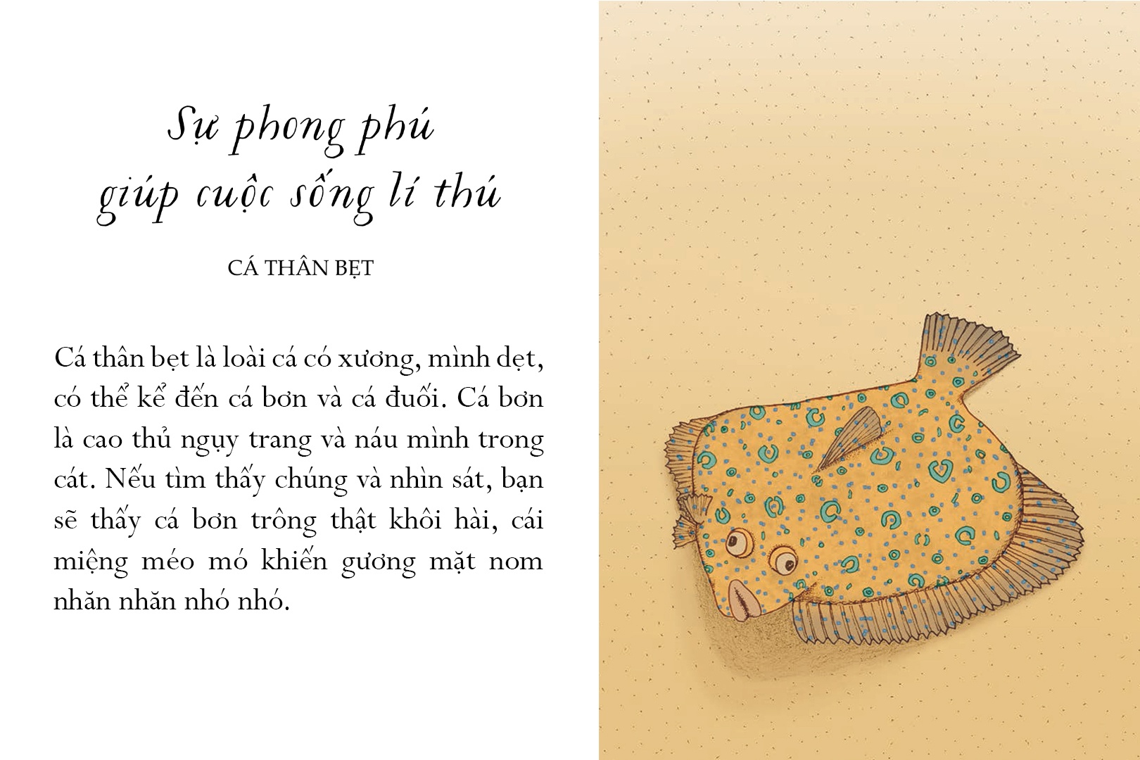 Sach Song mot doi tua bien khoi anh 6