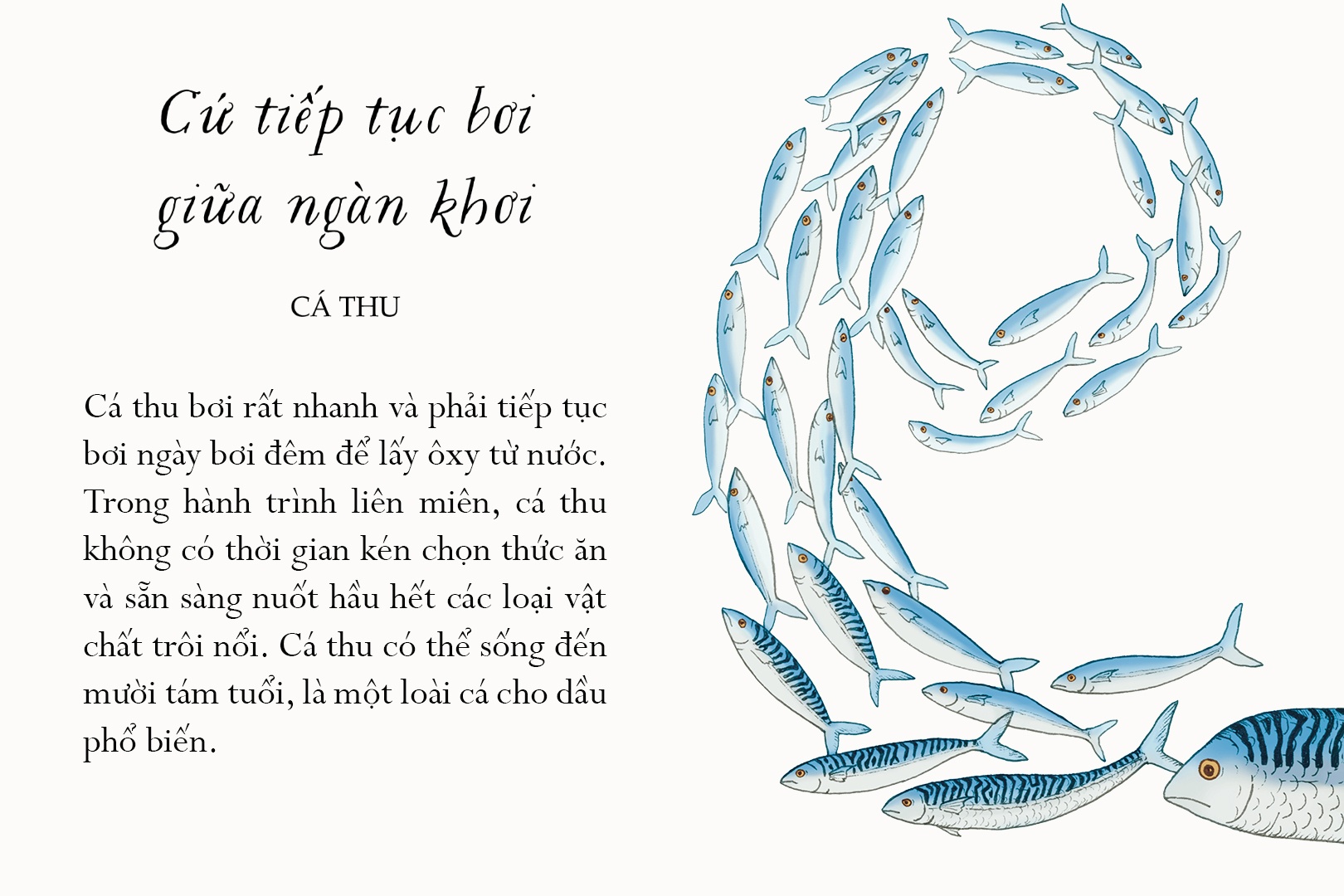 Sach Song mot doi tua bien khoi anh 8