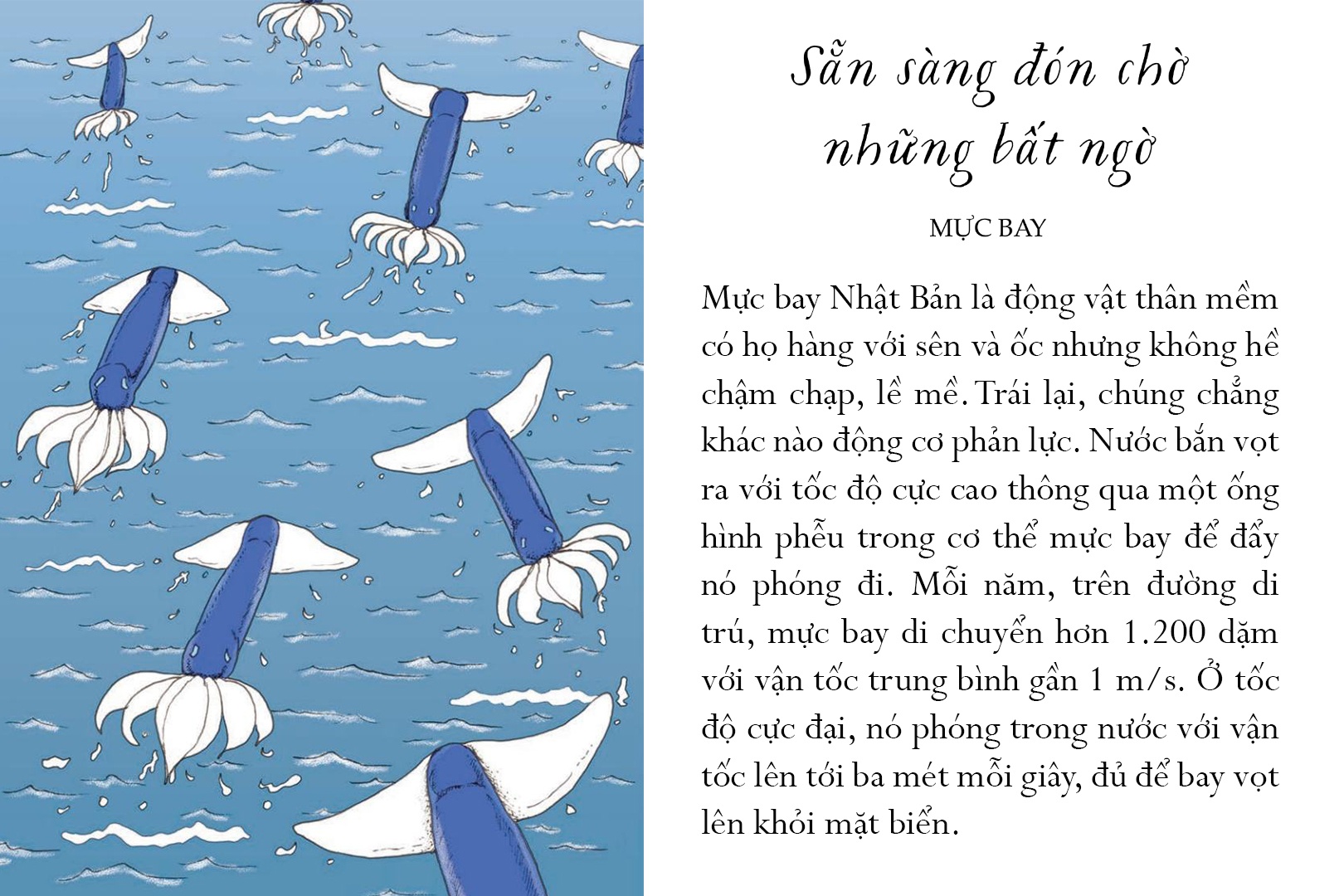 Sach Song mot doi tua bien khoi anh 9