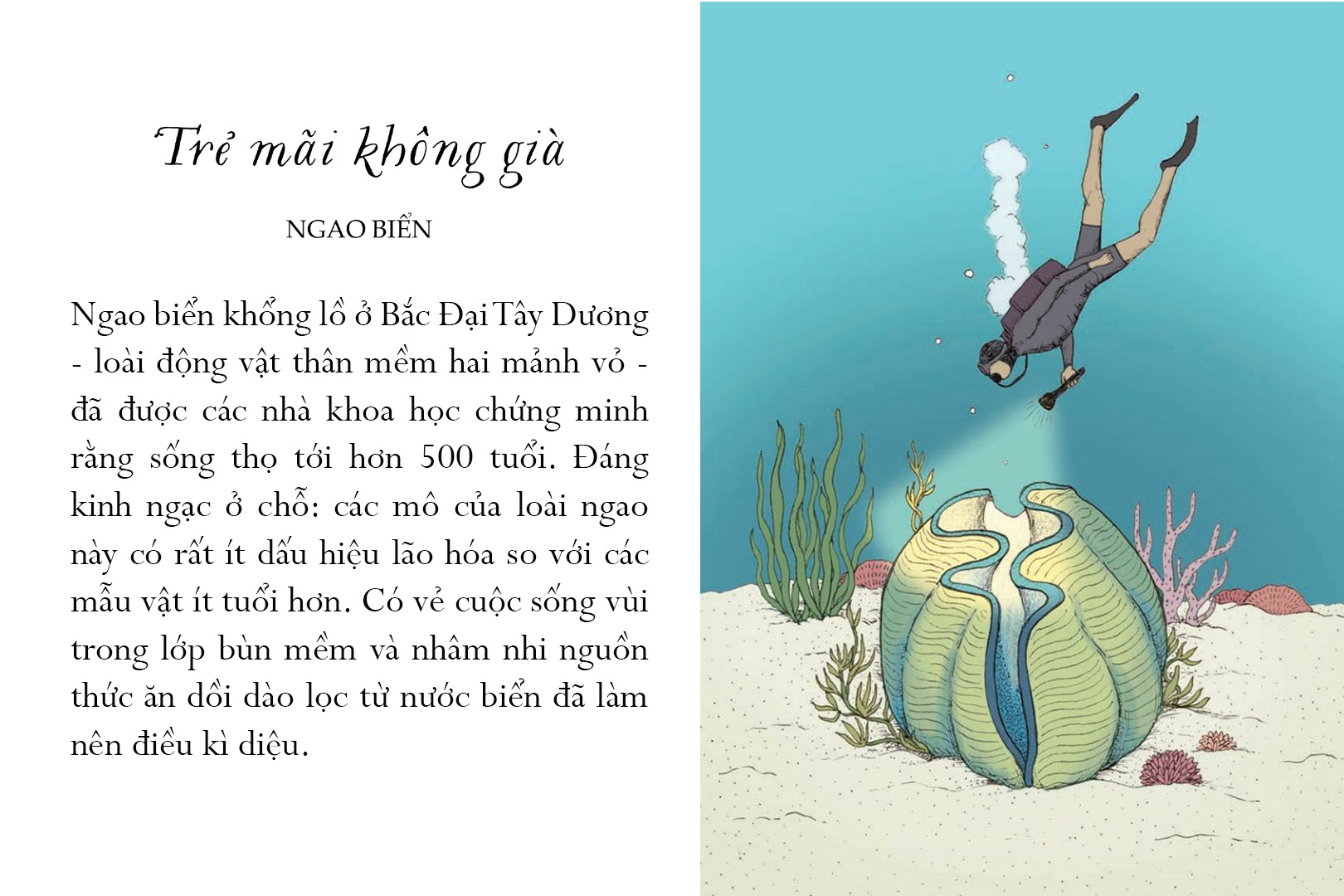 Sach Song mot doi tua bien khoi anh 2