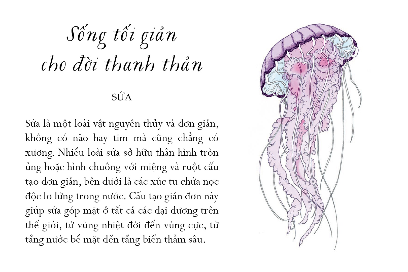 Sach Song mot doi tua bien khoi anh 4