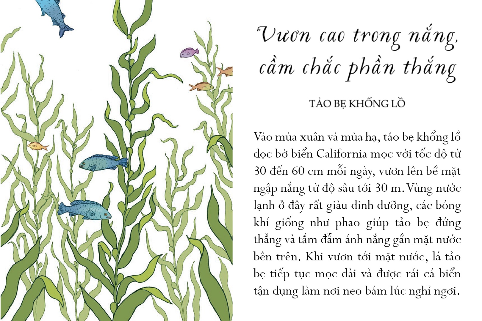 Sach Song mot doi tua bien khoi anh 7