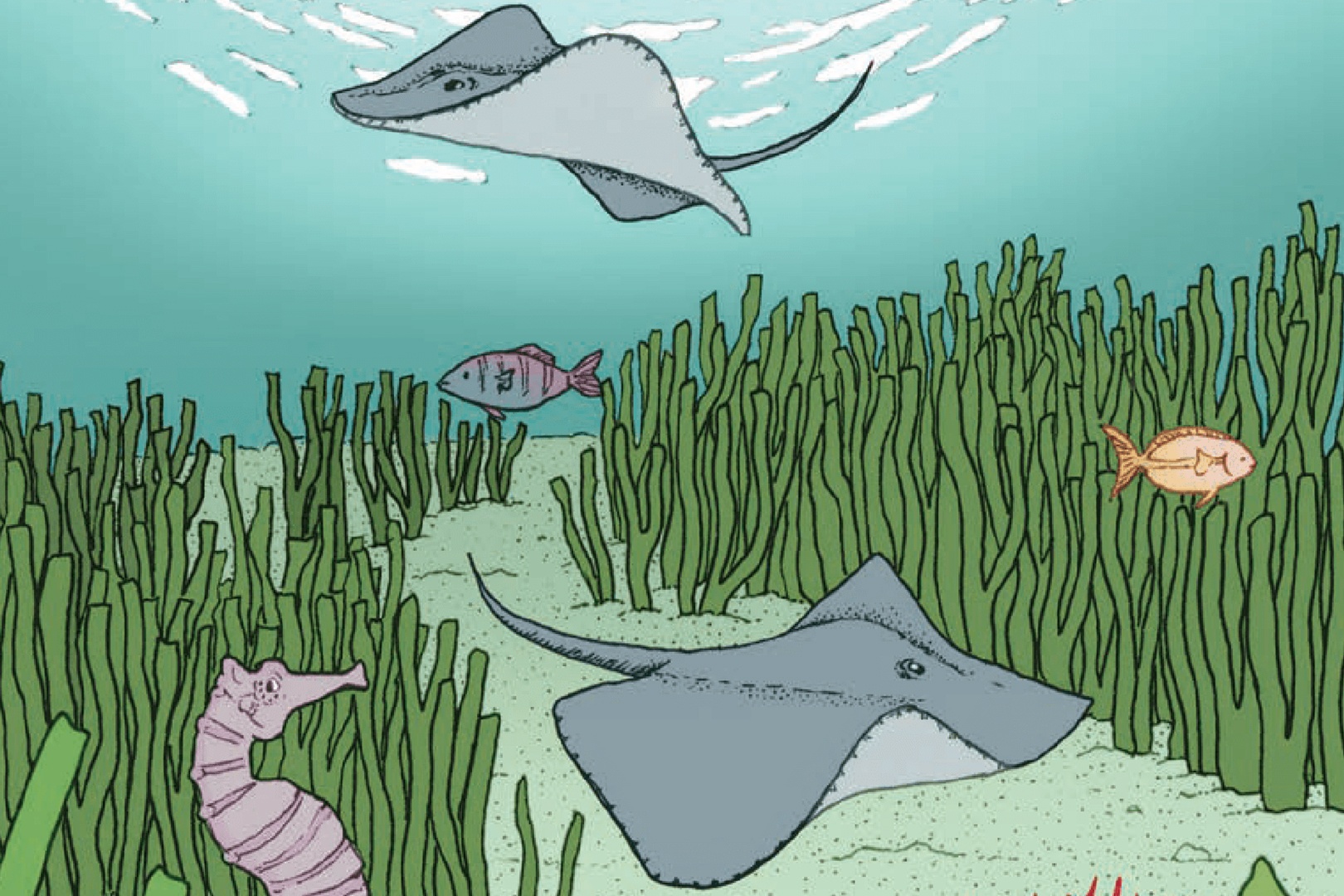 Nhung bai hoc nhin tu cuoc song duoi dai duong hinh anh