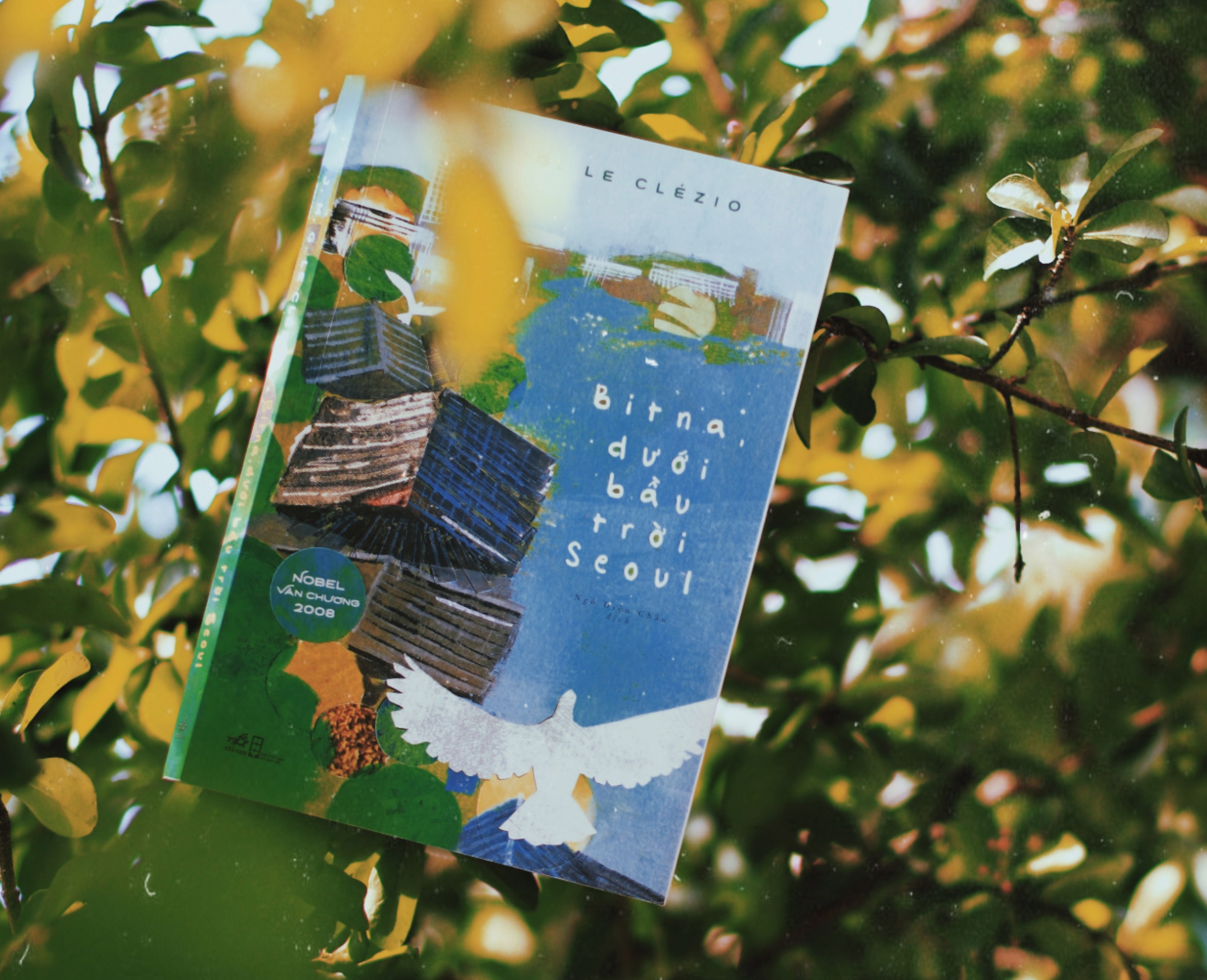 Sach Bitna duoi bau troi Seoul anh 1