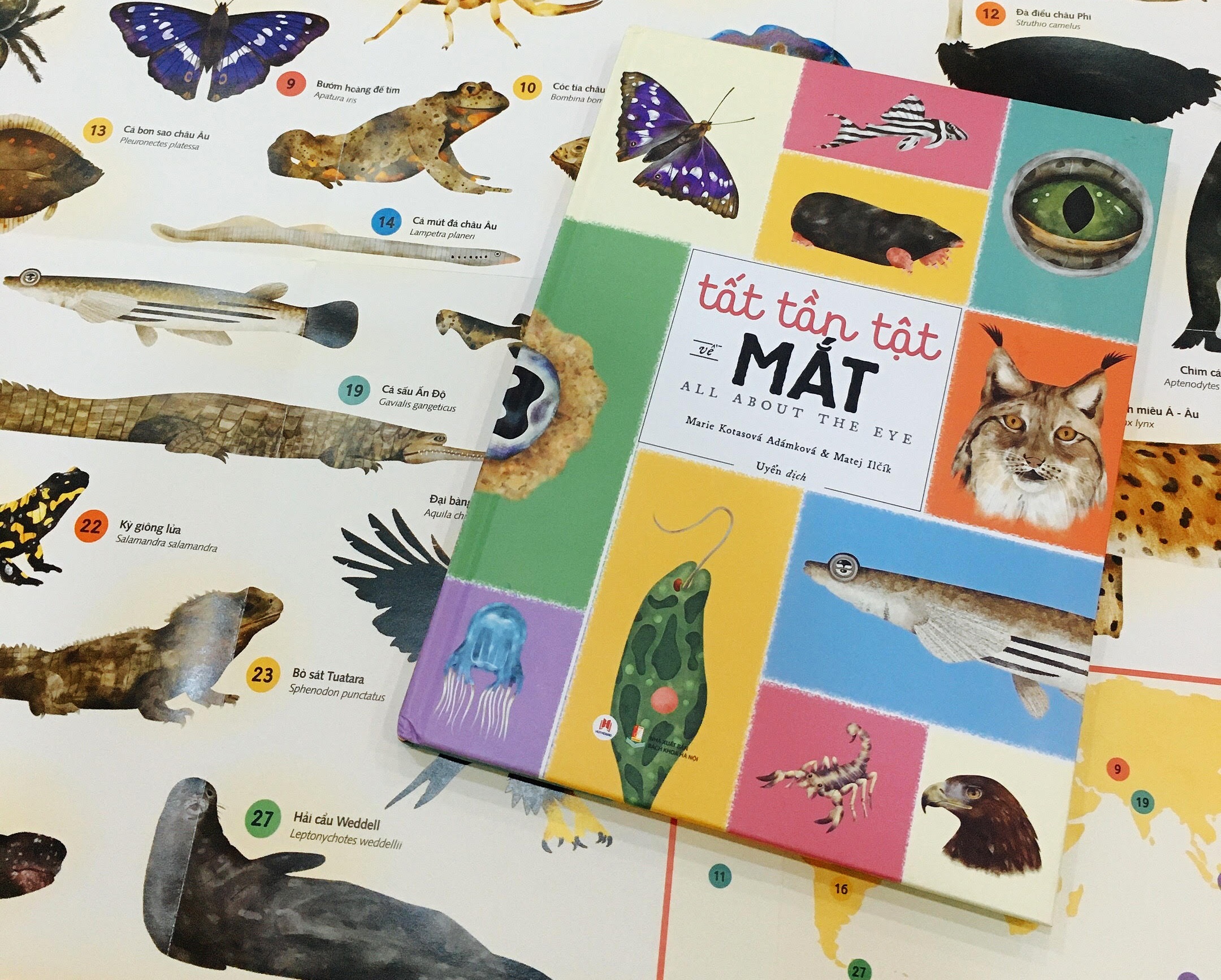 Nhung con mat doc dao trong the gioi dong vat hinh anh