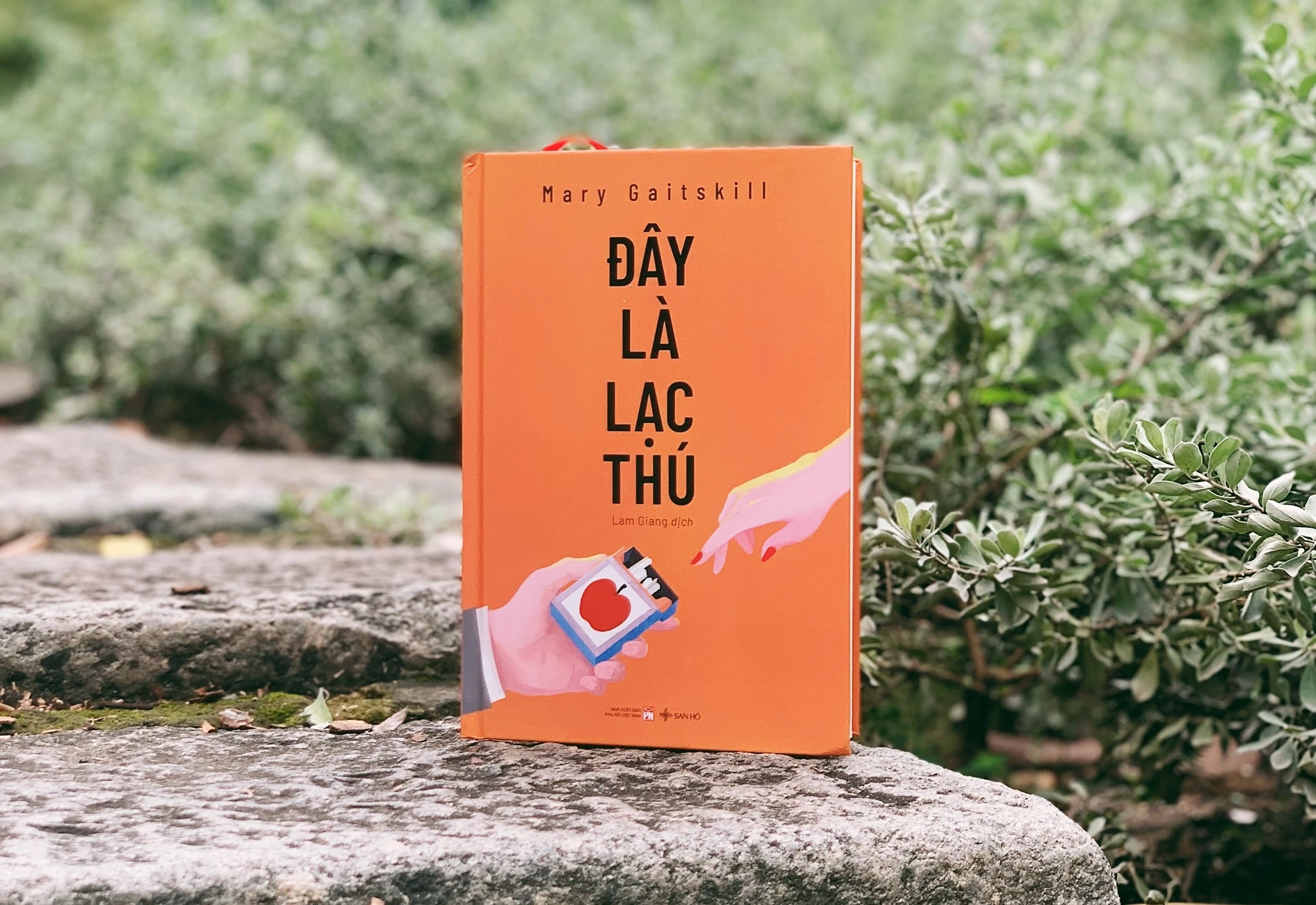 Review sach Day la lac thu anh 1
