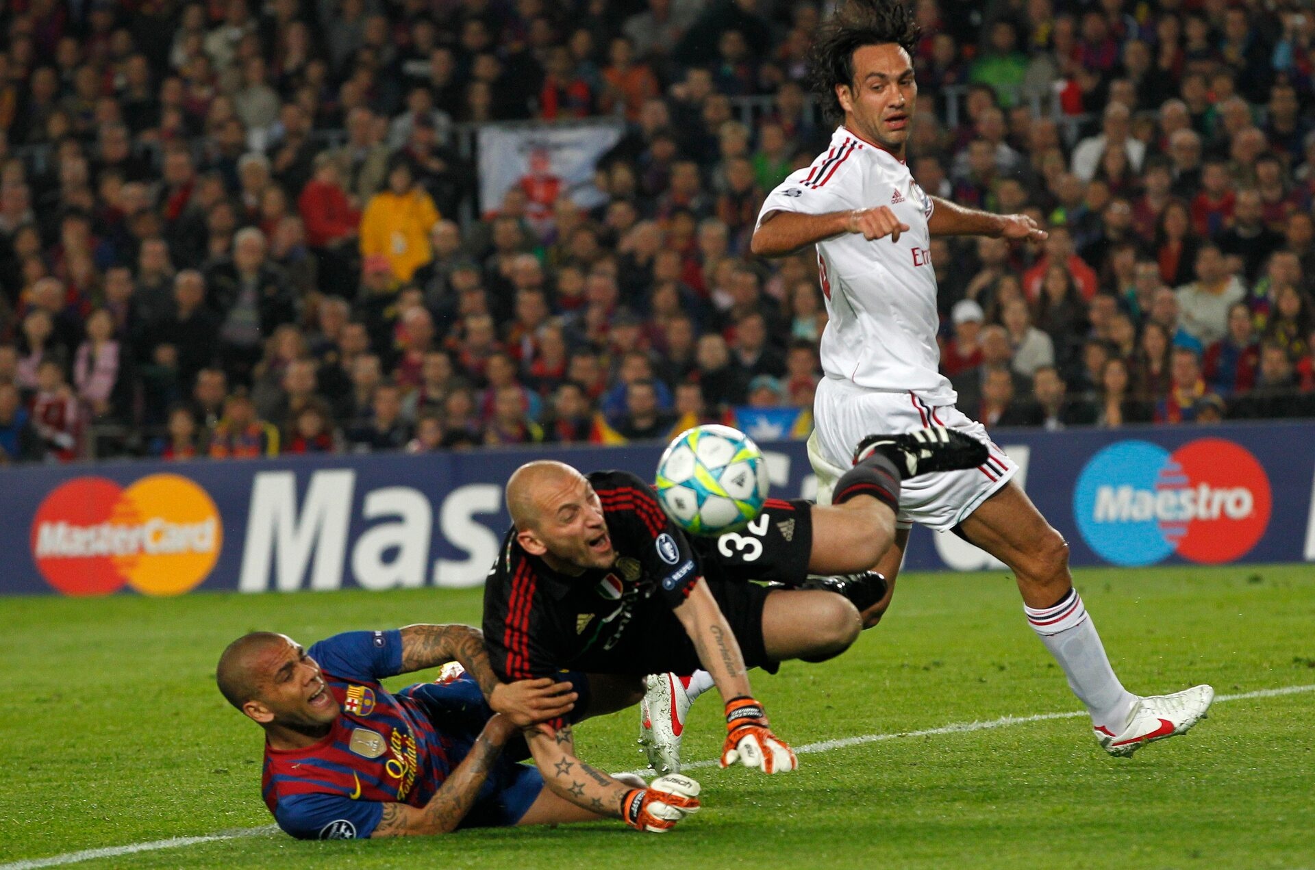 Nesta - nghe thuat xoac bong cua mot quy ong phong ngu hinh anh