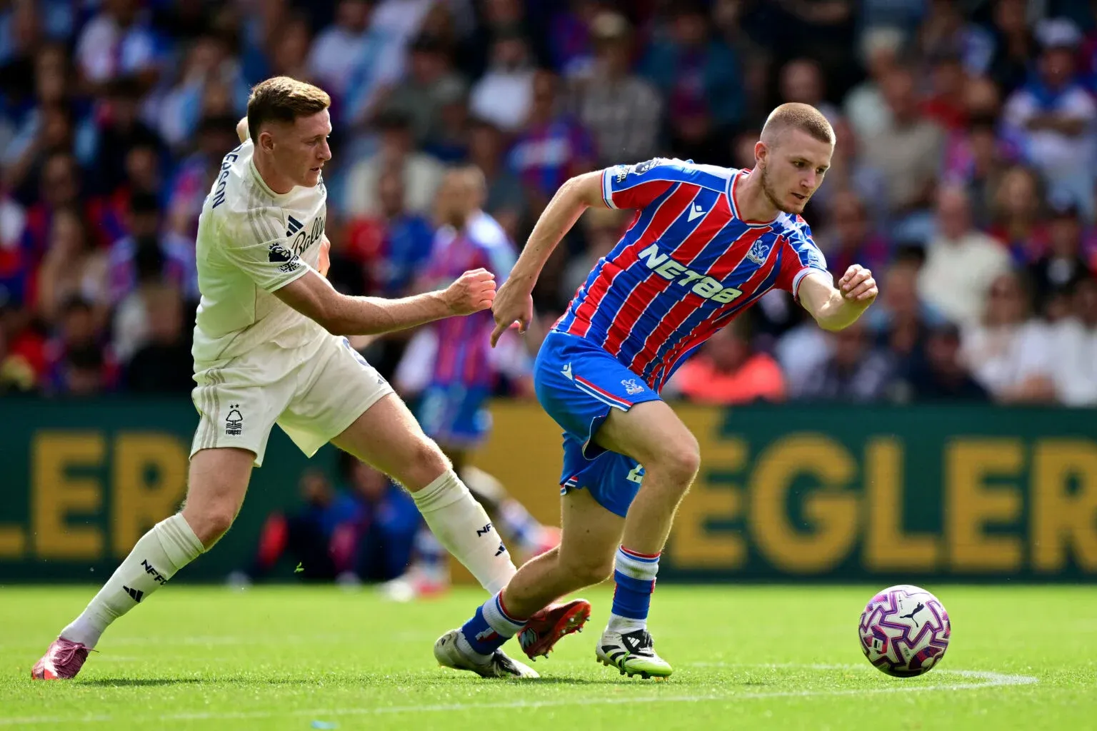 Wharton hay Anderson phu hop voi MU? hinh anh