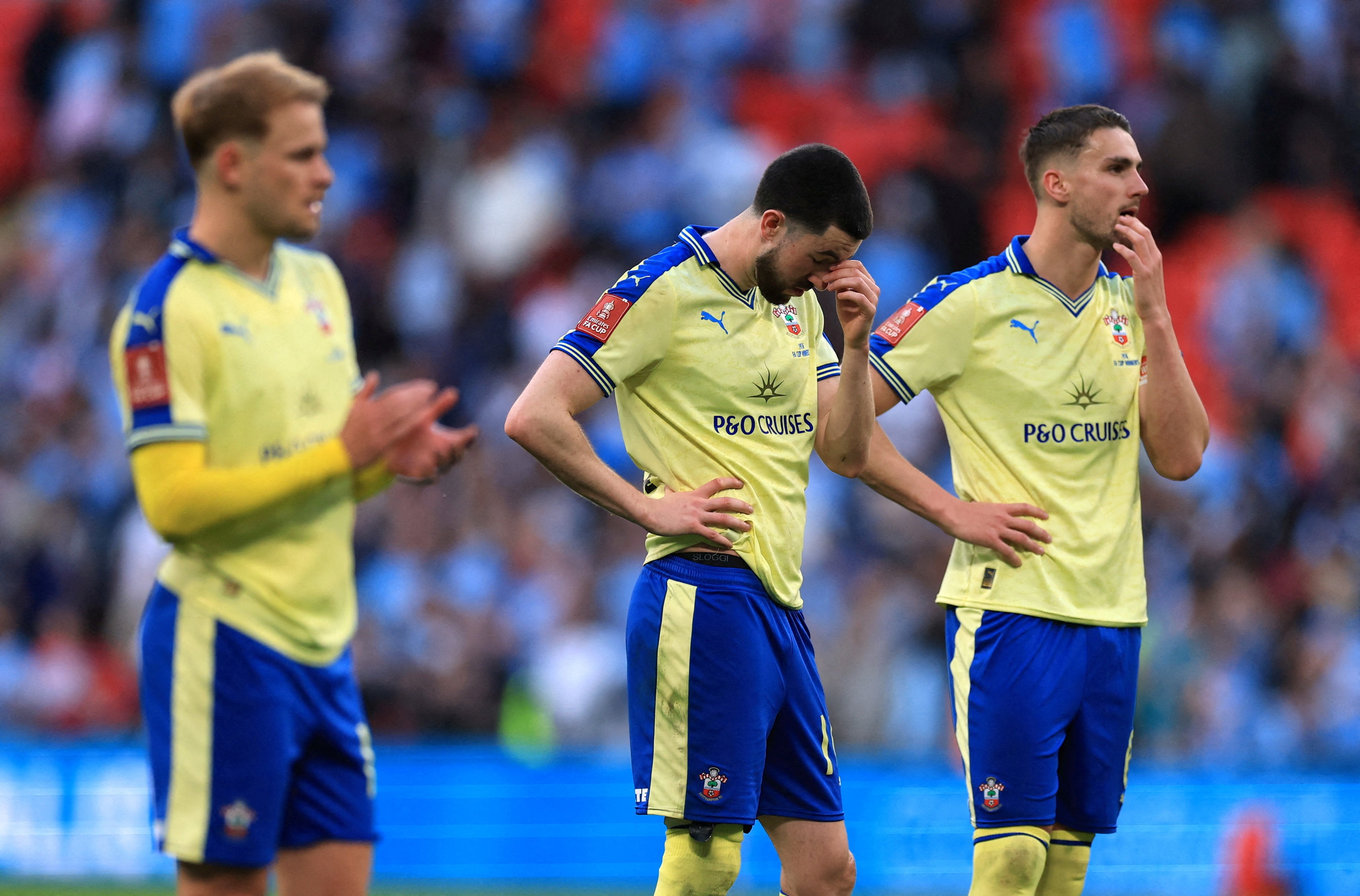 Southampton bi loai khoi tran dau thang hang Premier League hinh anh
