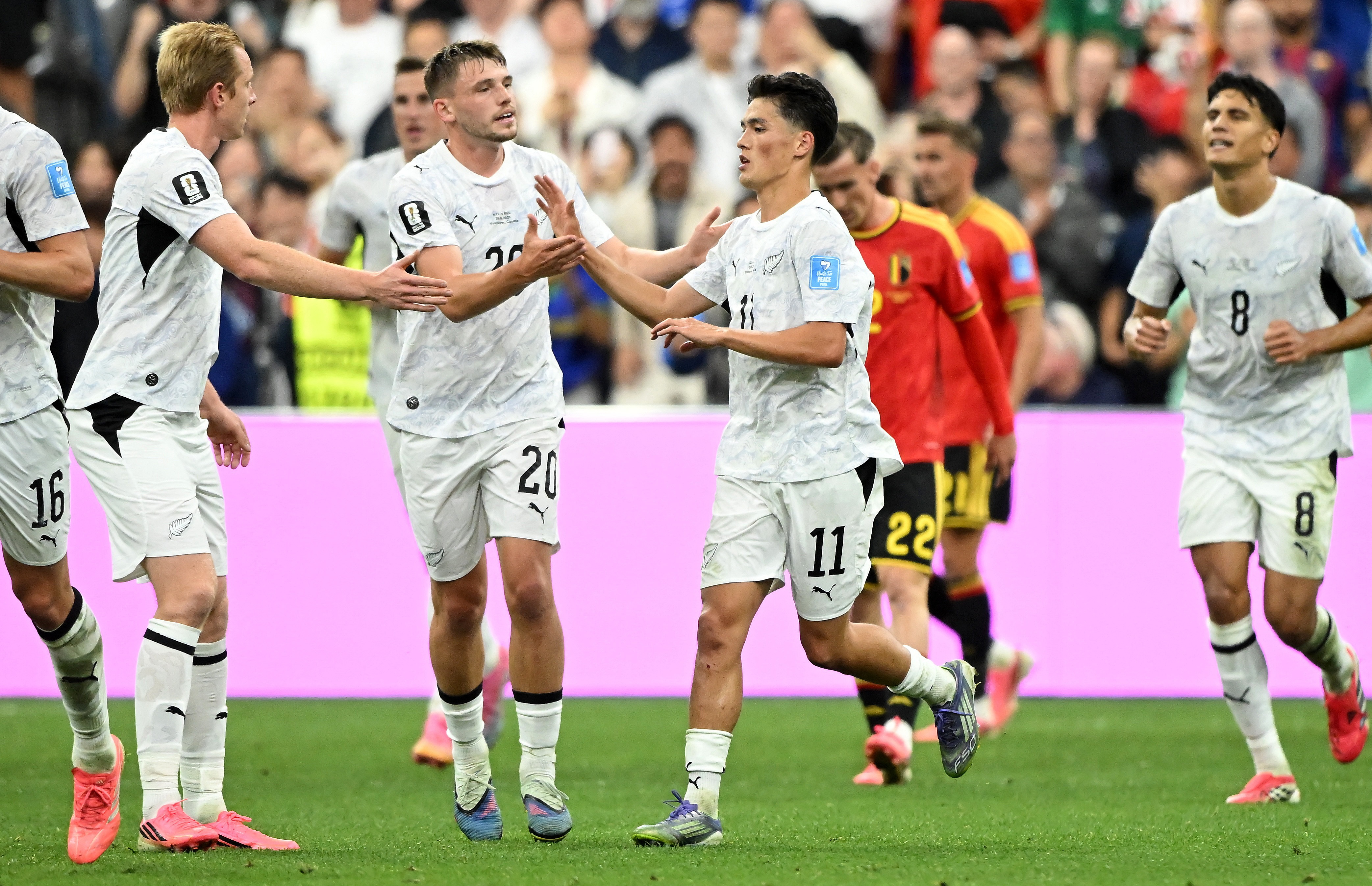 New Zealand rut ngan ty so xuong con 1-3 truoc Bi hinh anh