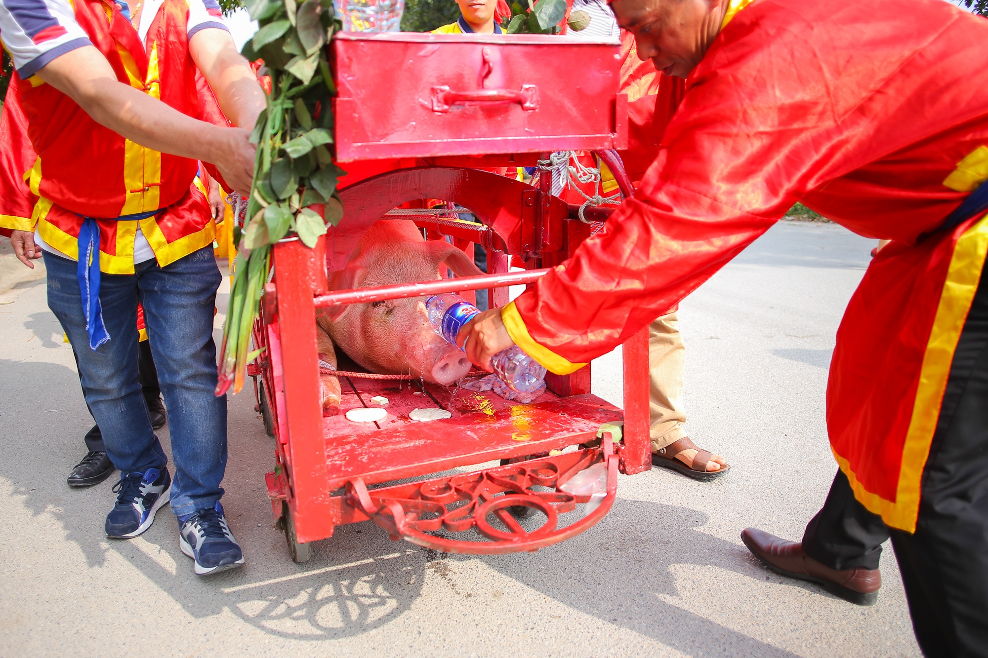 Chen lon lang Nem Thuong Bac Ninh anh 5
