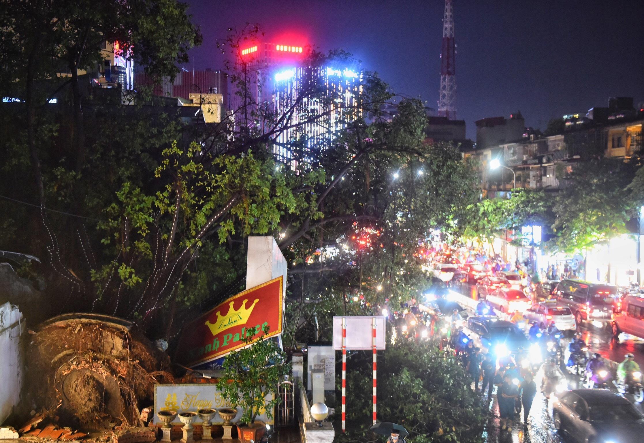 Cay do o Ha Noi anh 4