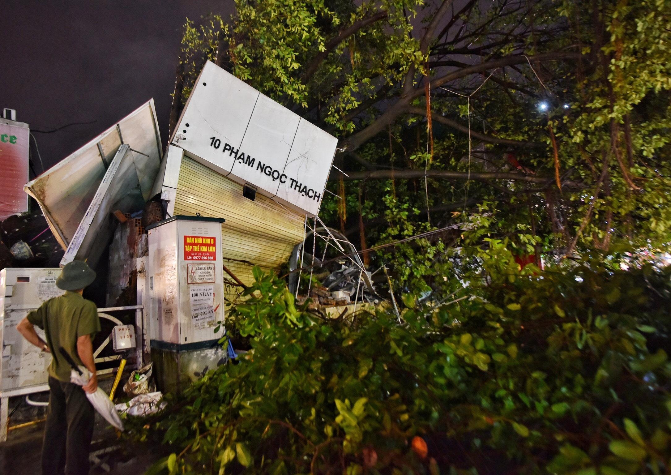 Cay do o Ha Noi anh 5