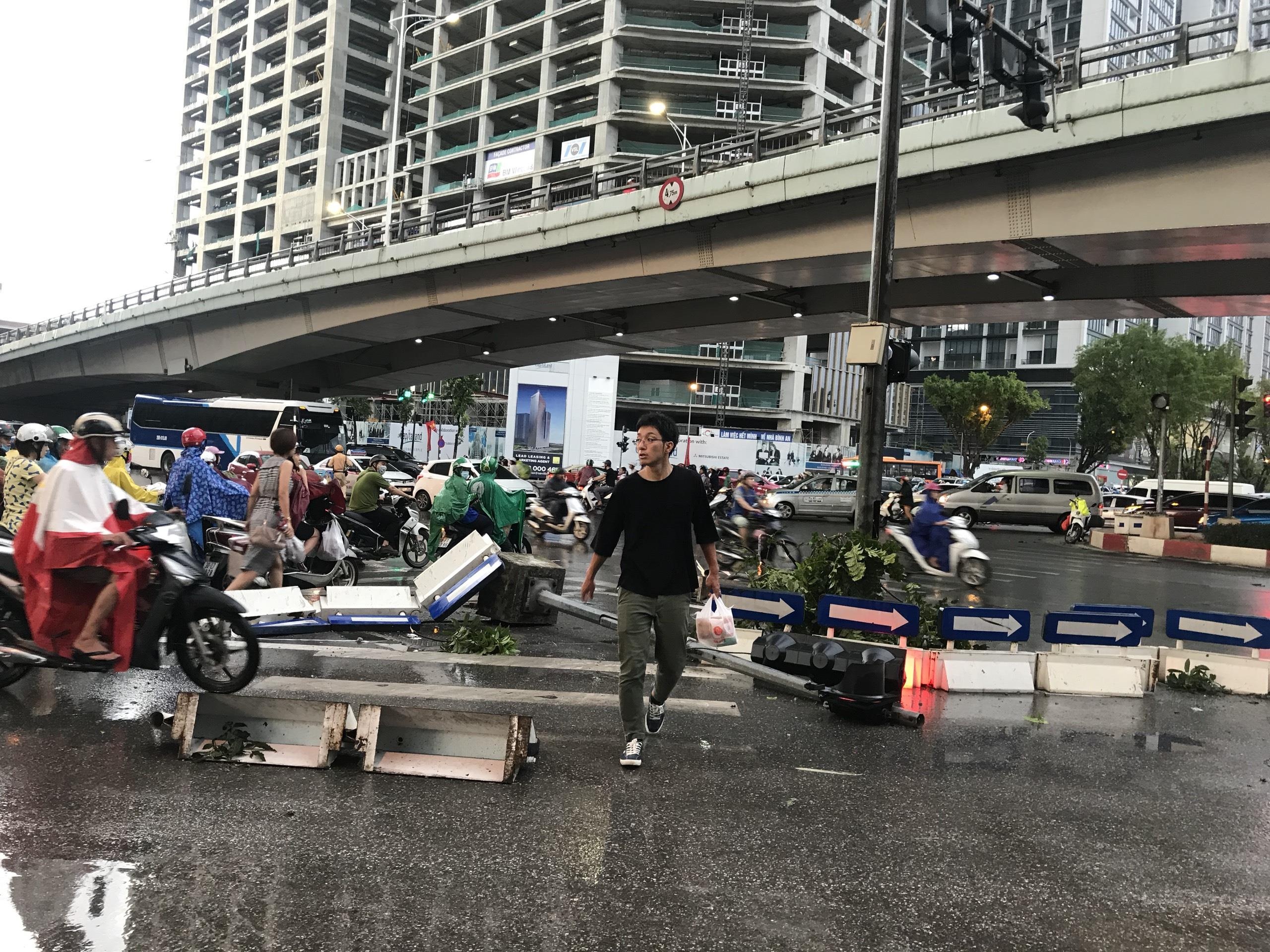 Cay do o Ha Noi anh 6