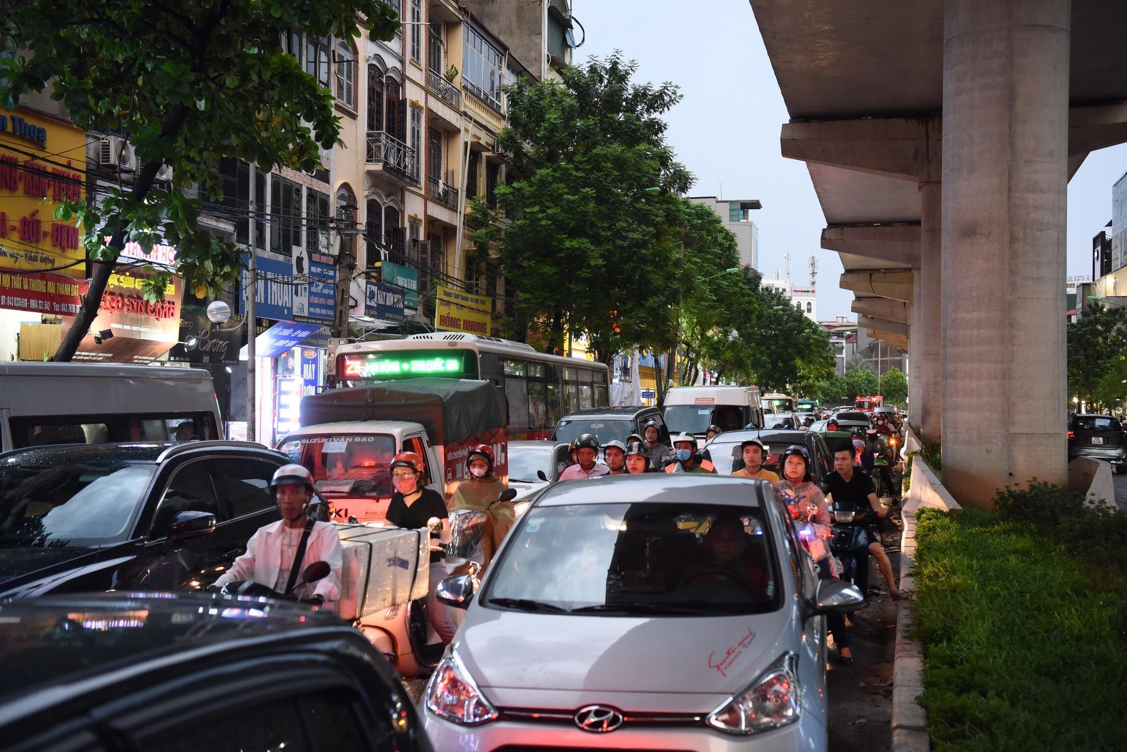 Cay do o Ha Noi anh 8