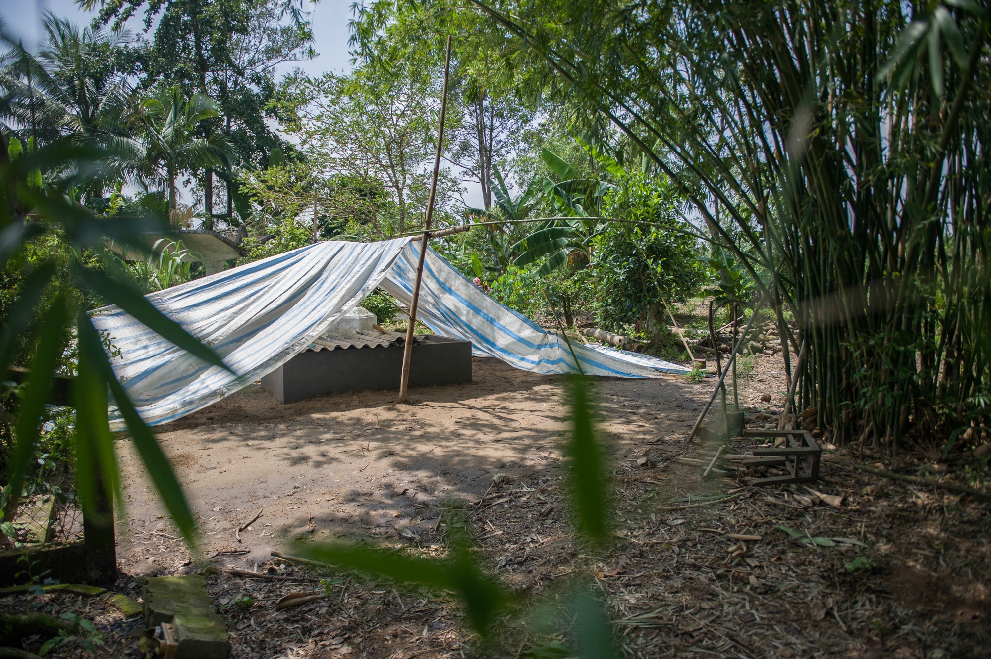 anh hung phi cong Nguyen Van Bay anh 9