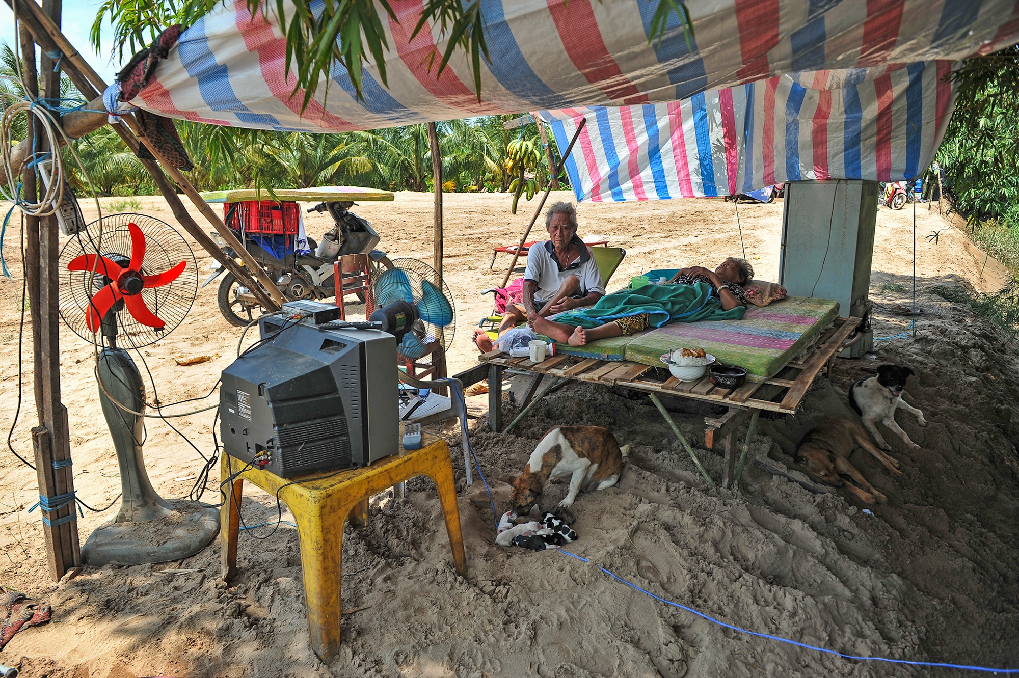 Ngap trieu cuong o Can Tho anh 10