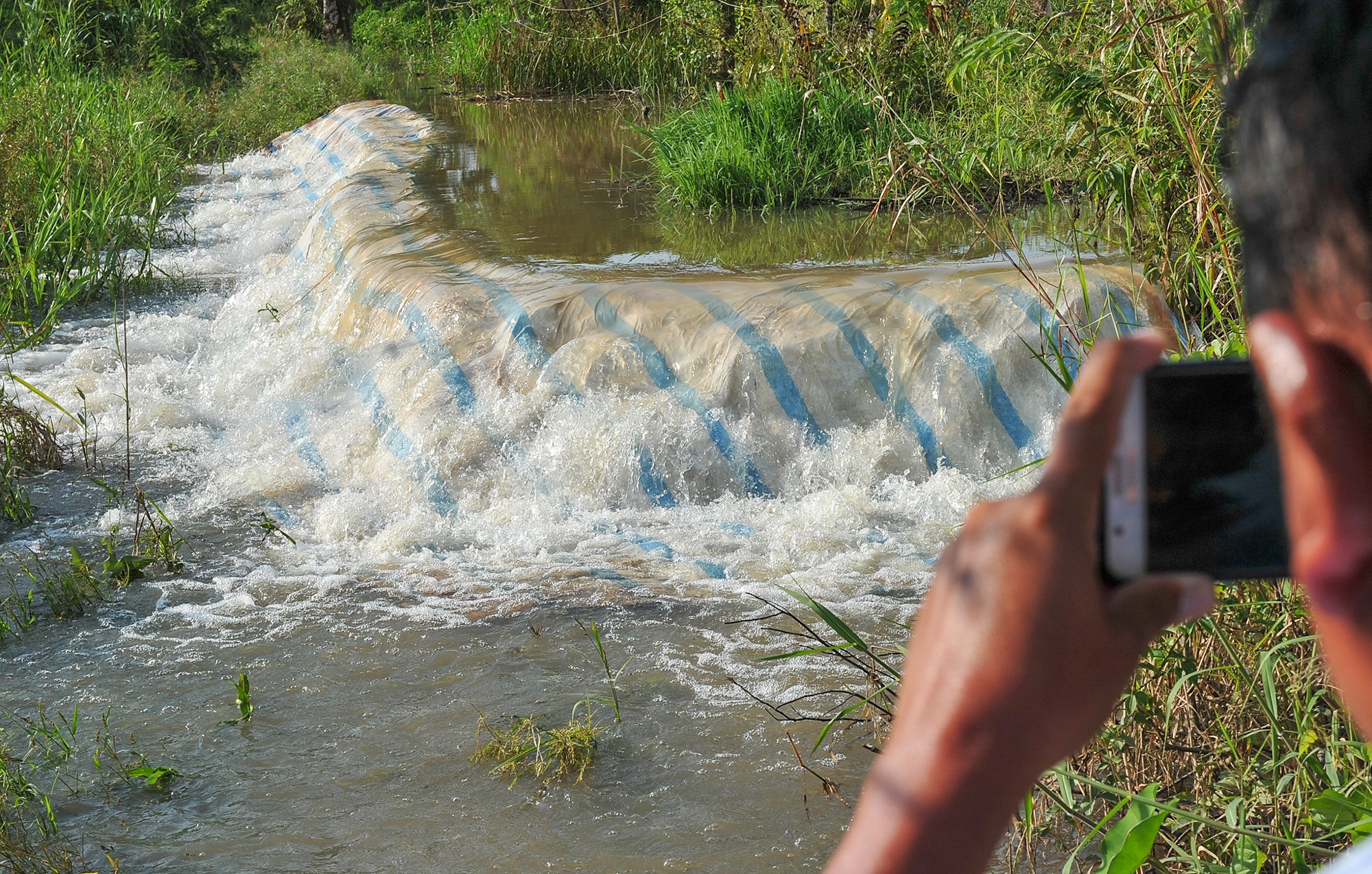 Ngap trieu cuong o Can Tho anh 12