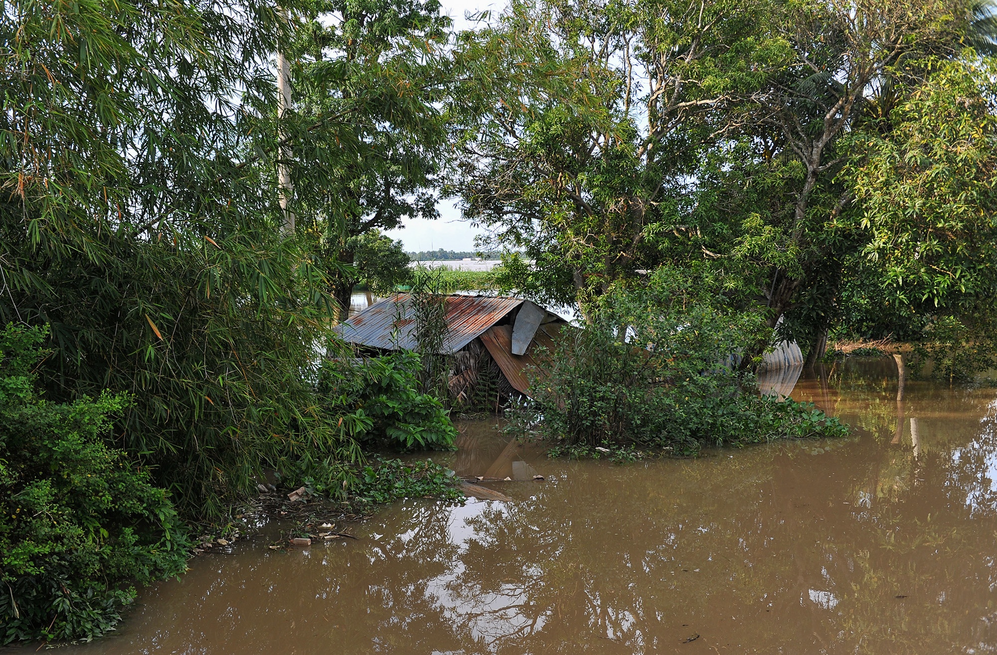 Ngap trieu cuong o Can Tho anh 5