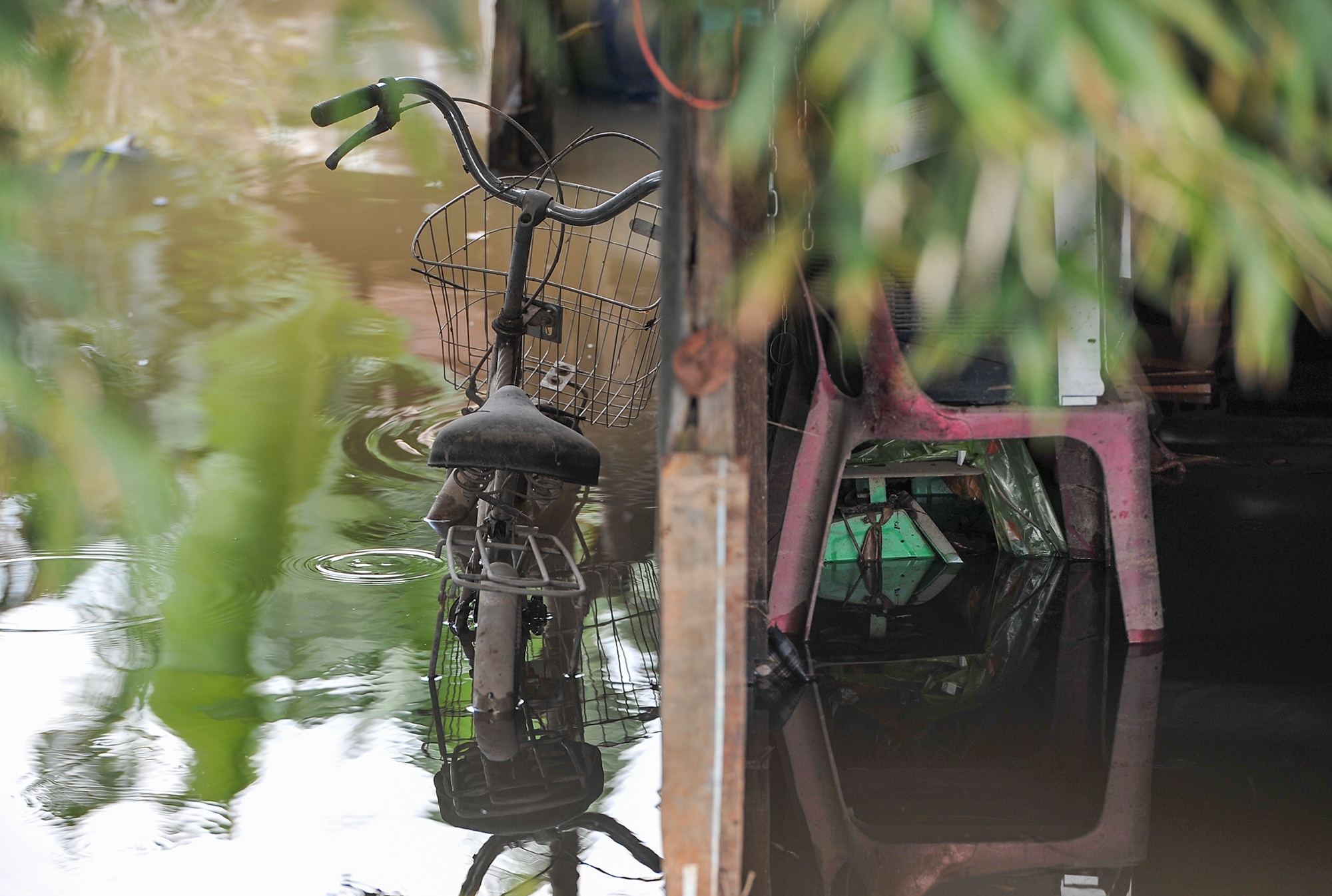 Ngap trieu cuong o Can Tho anh 6