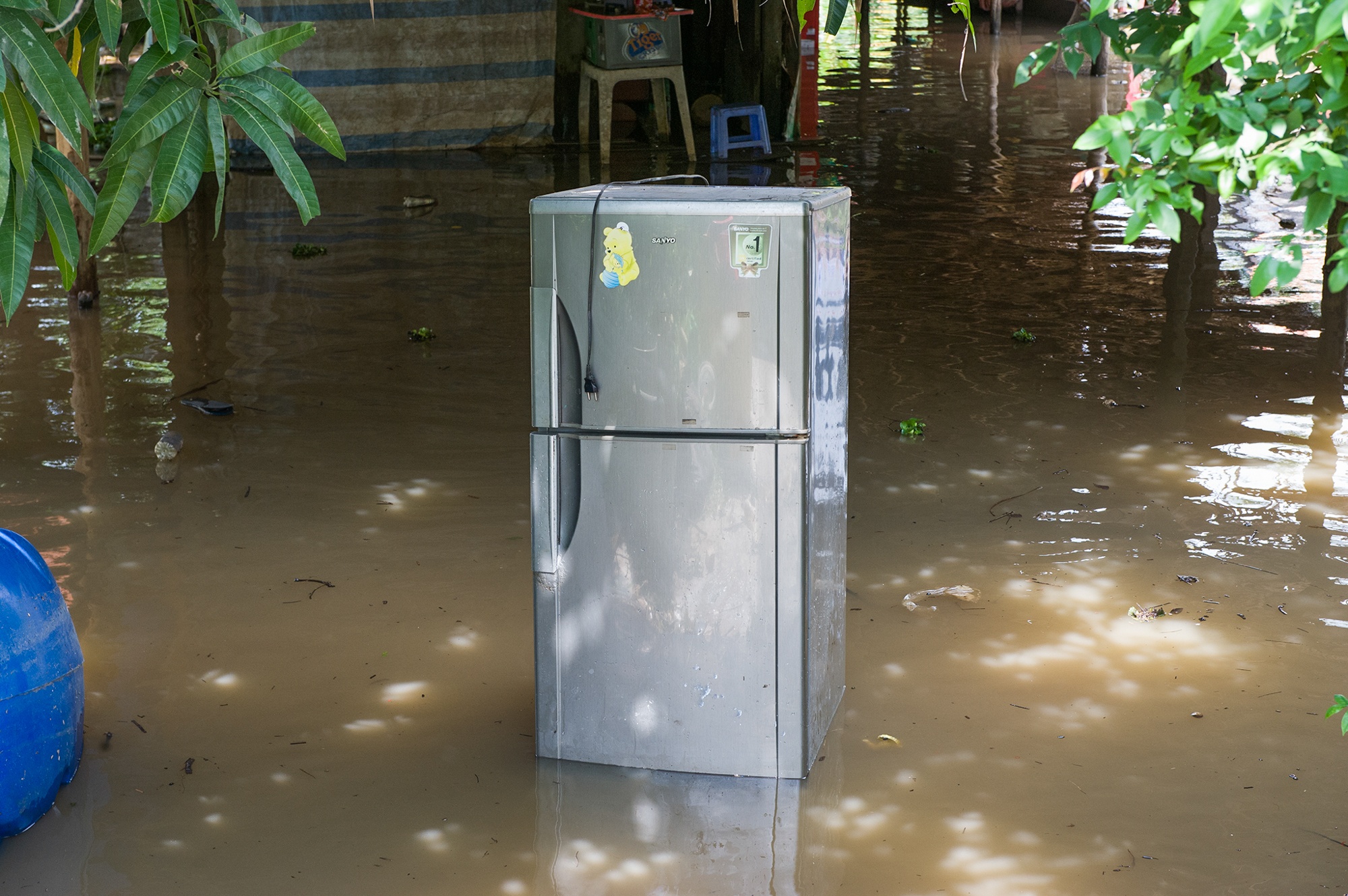 Ngap trieu cuong o Can Tho anh 8