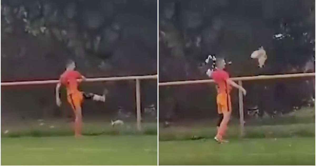 Cầu thủ ảnh 1 Cau thu anh 1