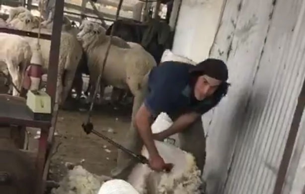 Edinson Cavani anh 1