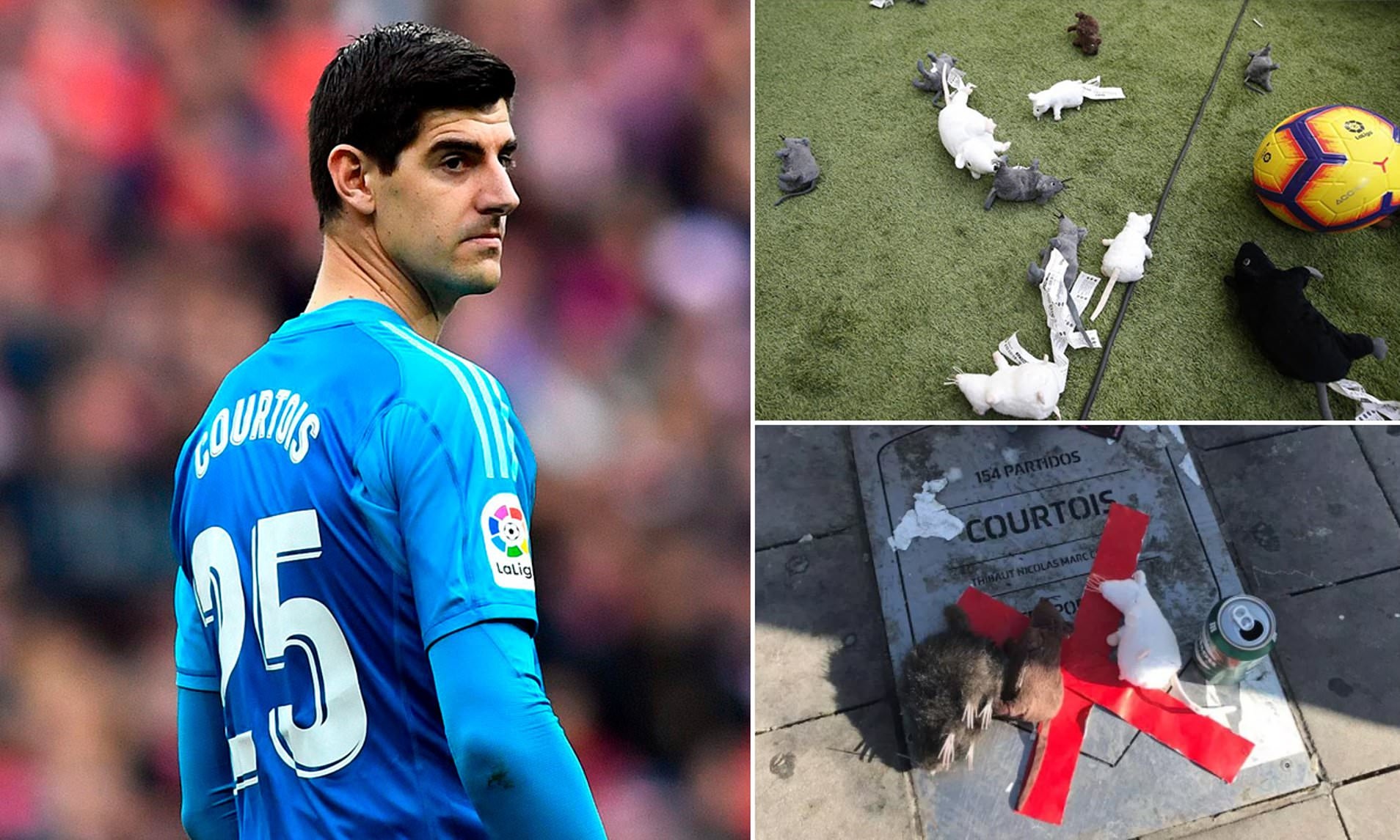 Thibaut Courtois anh 3