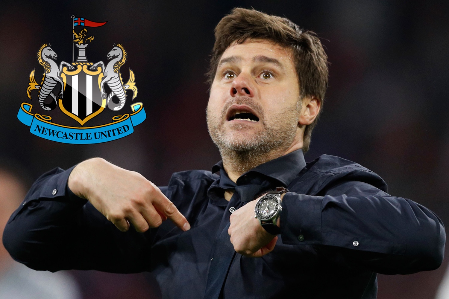 HLV Pochettino san sang nhan luong cao tai Newcastle hinh anh