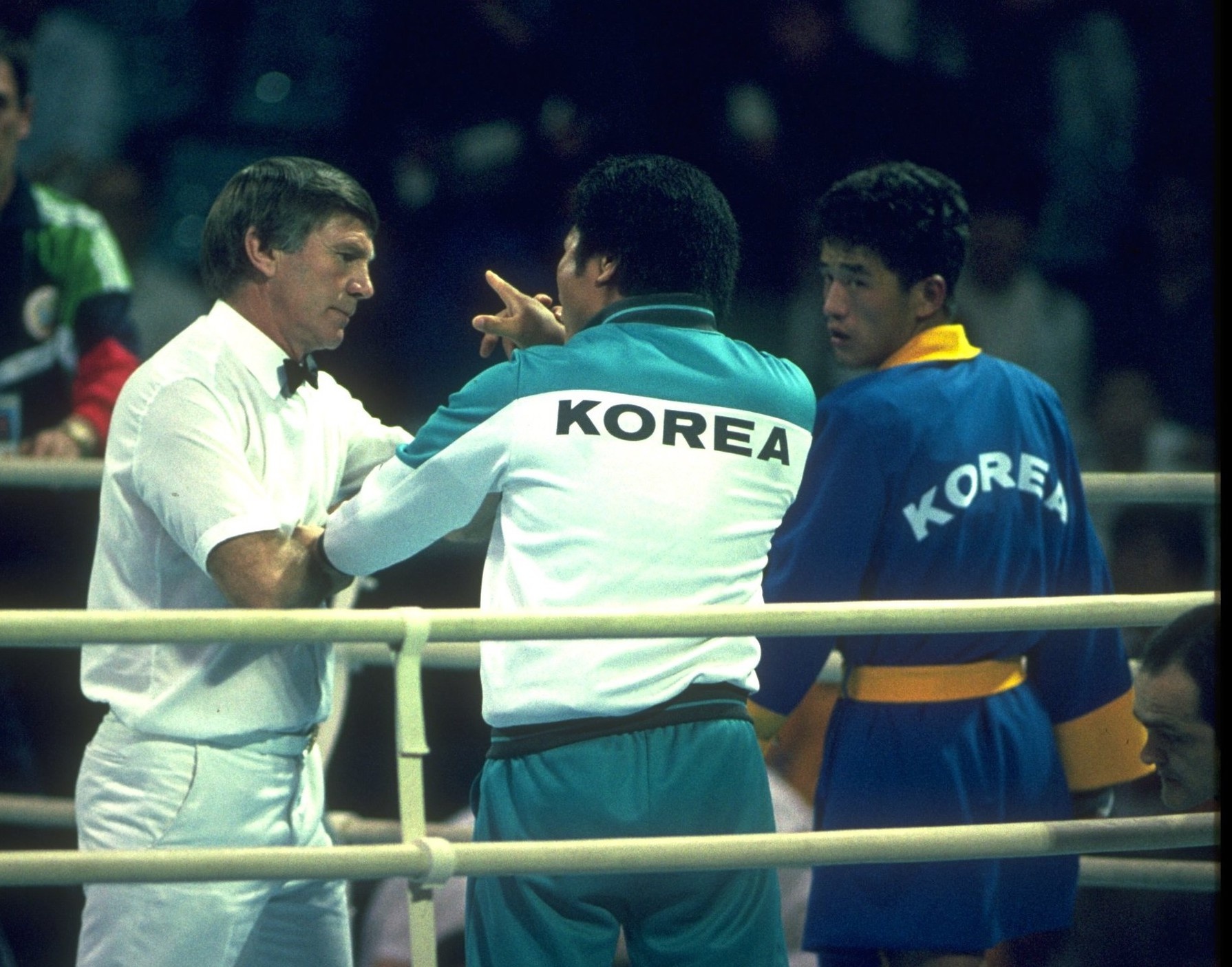 Han Quoc gian lan anh 3