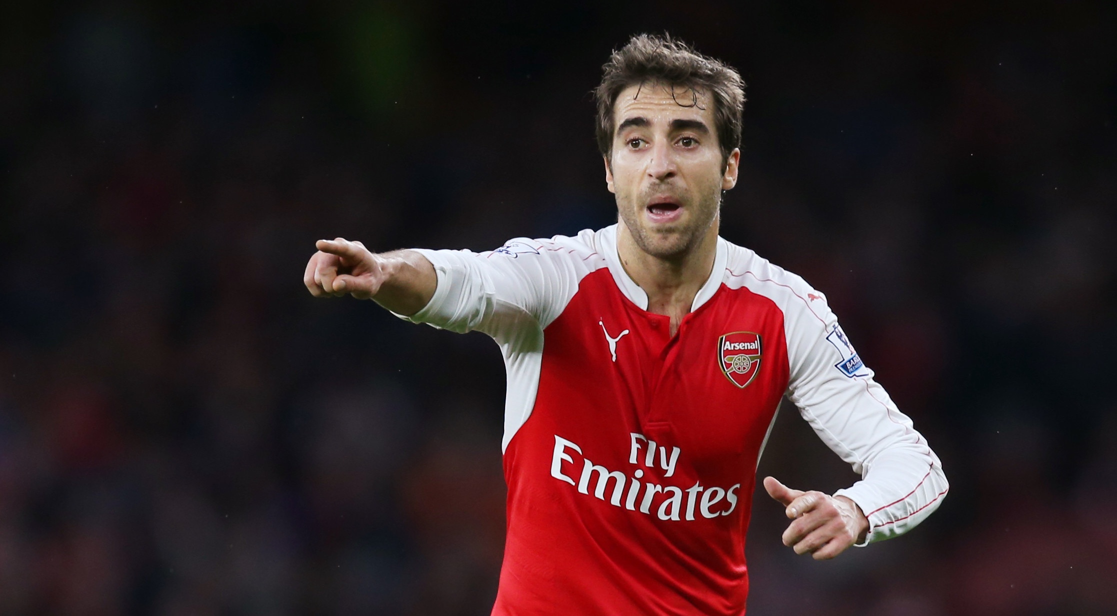 Mathieu Flamini anh 1