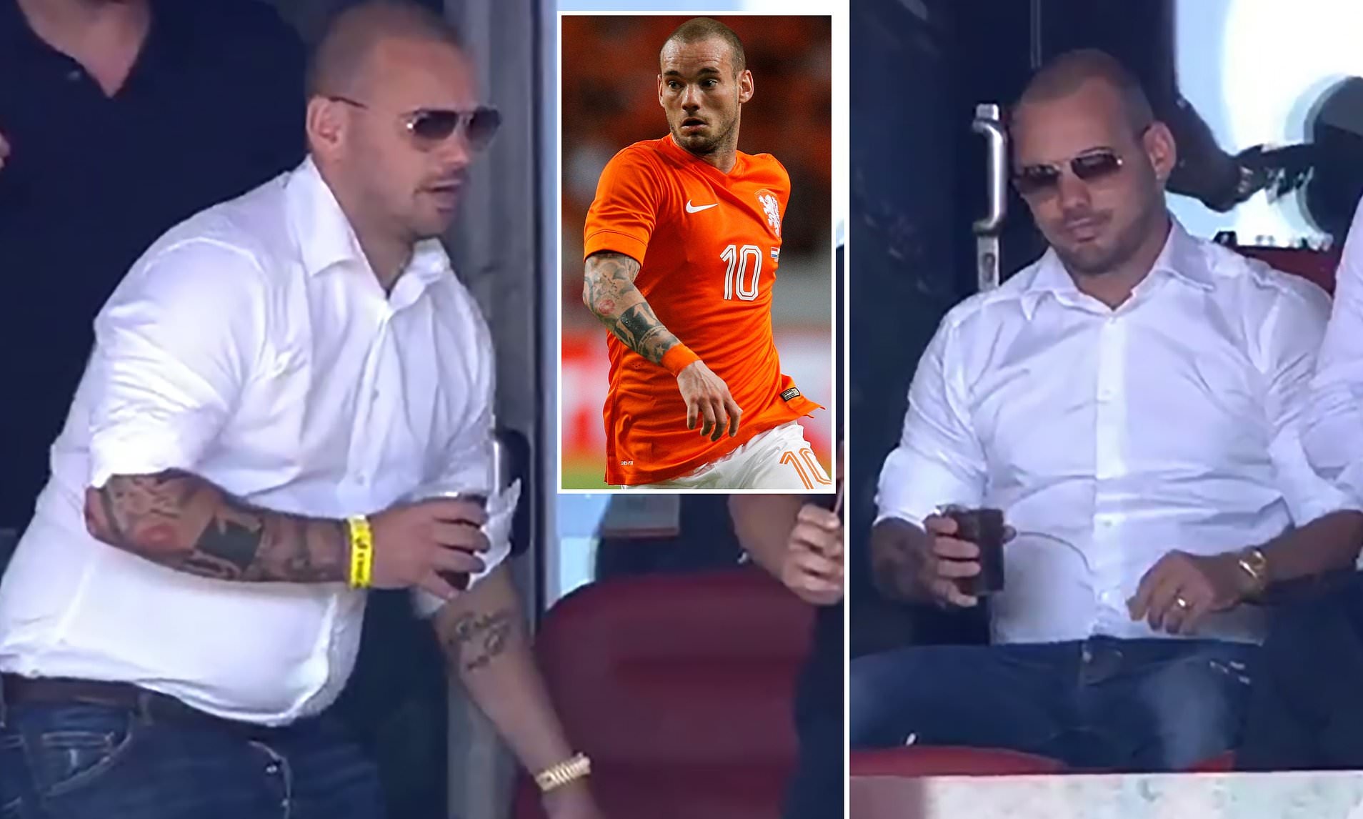 Wesley Sneijder anh 1