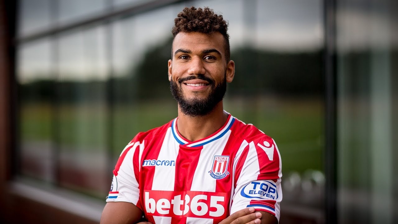 Eric Maxim Choupo-Moting anh 7