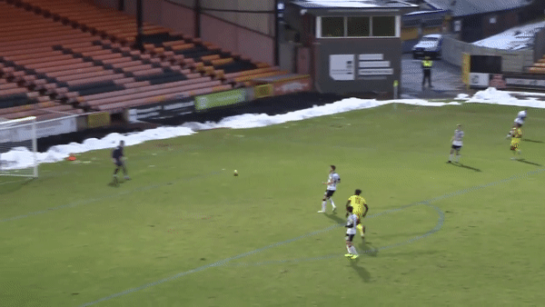 Thu mon do bong hut khien doi nha de thung luoi hinh anh