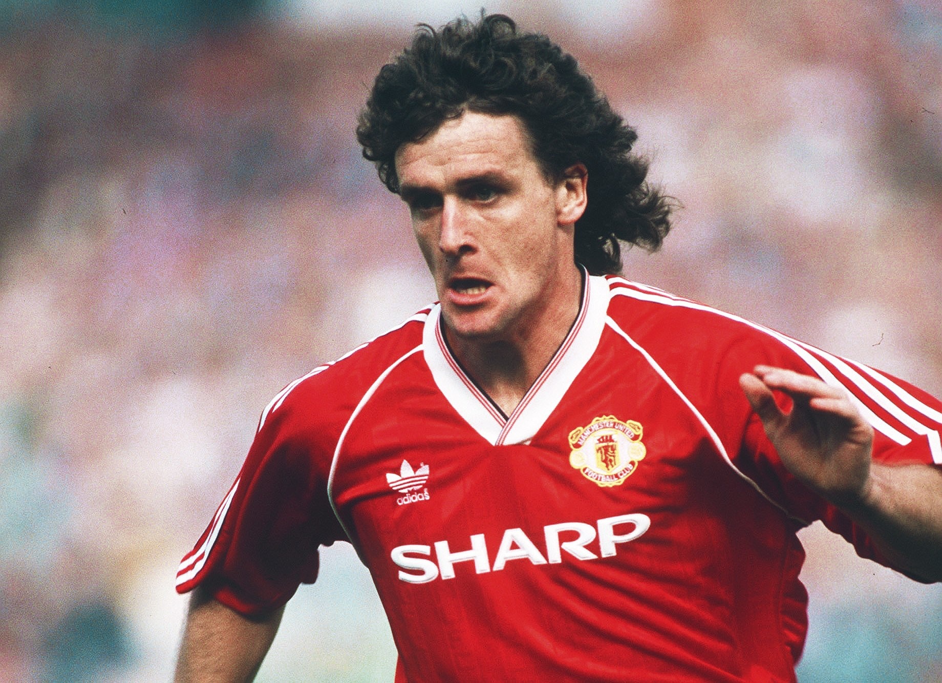 Shola Shoretire anh 3