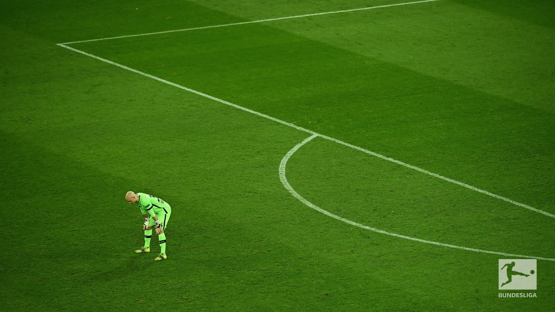 Bayer Leverkusen anh 5