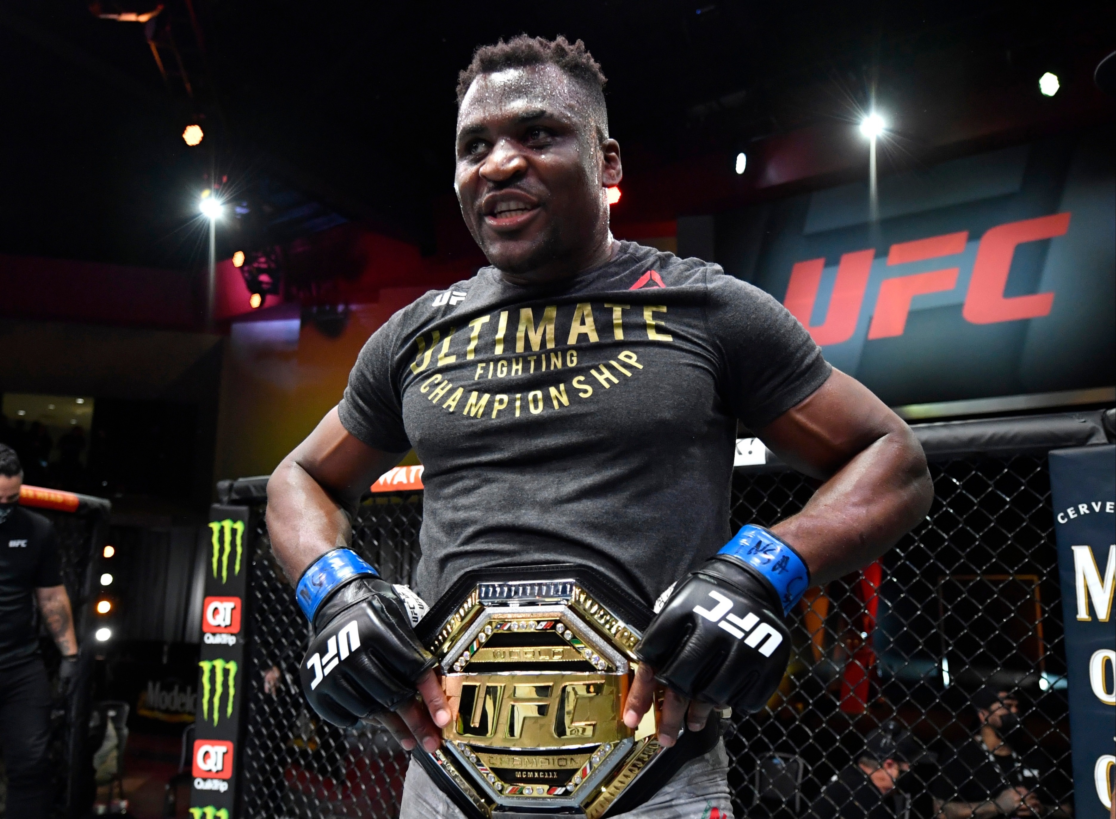 Francis Ngannou anh 2