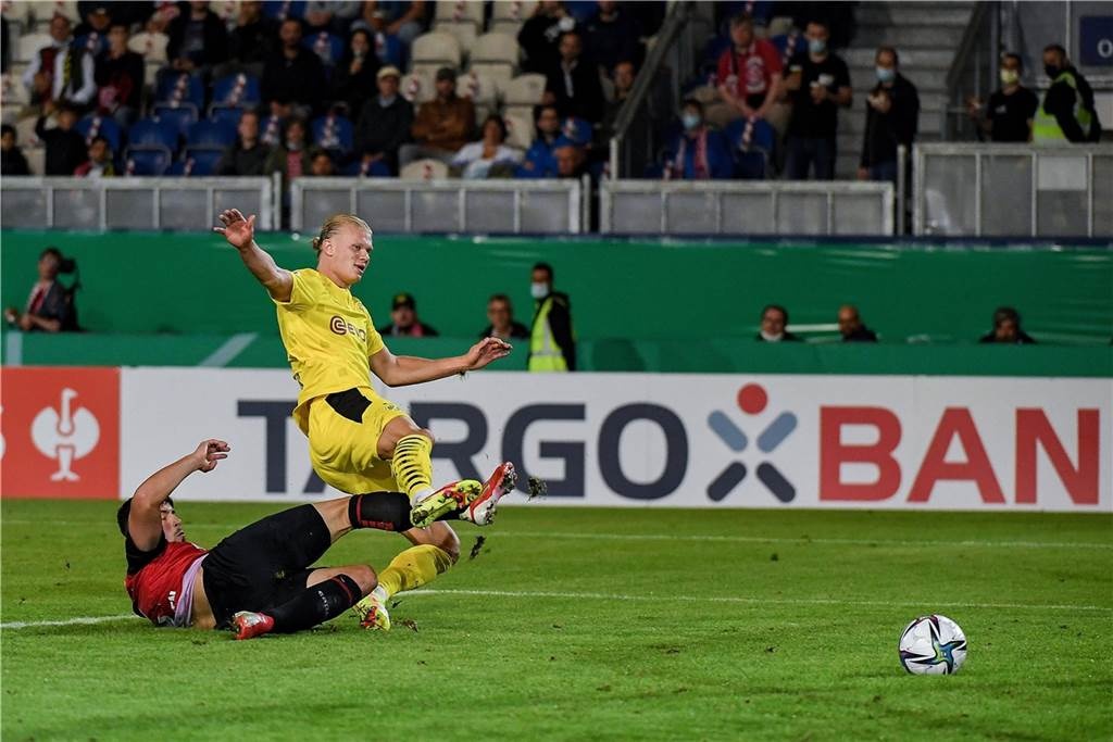 Erling Haaland anh 5