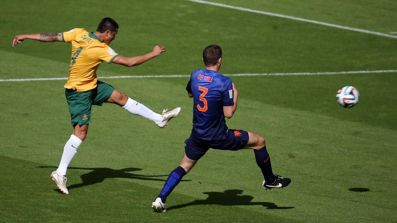 Tim Cahill anh 3