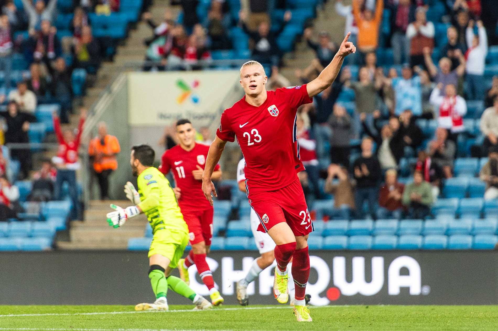 Erling Haaland anh 6