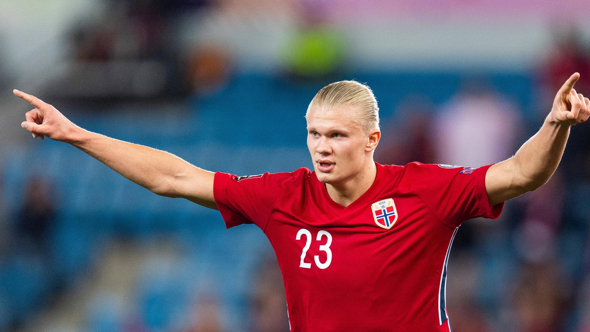 Erling Haaland anh 3