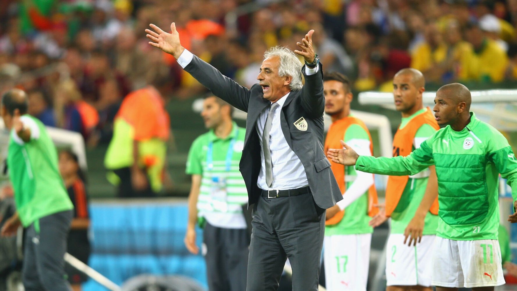 Vahid Halilhodzic anh 4