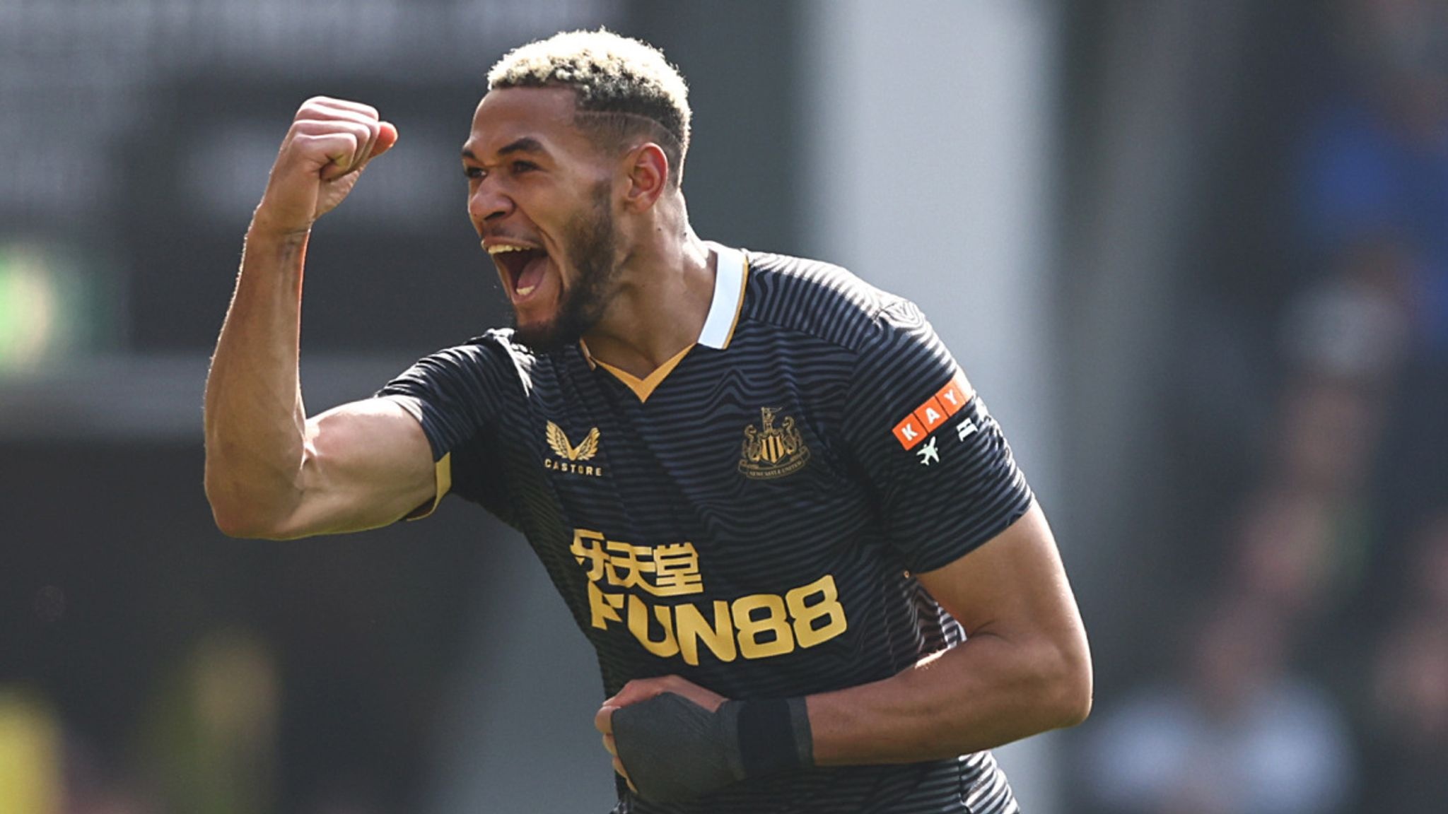 Newcastle sap lap ky tich o Ngoai hang Anh hinh anh