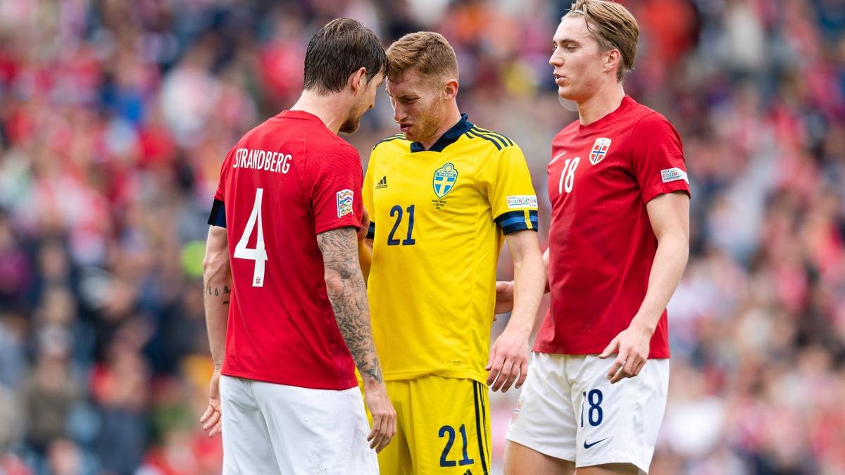 Erling Haaland anh 8