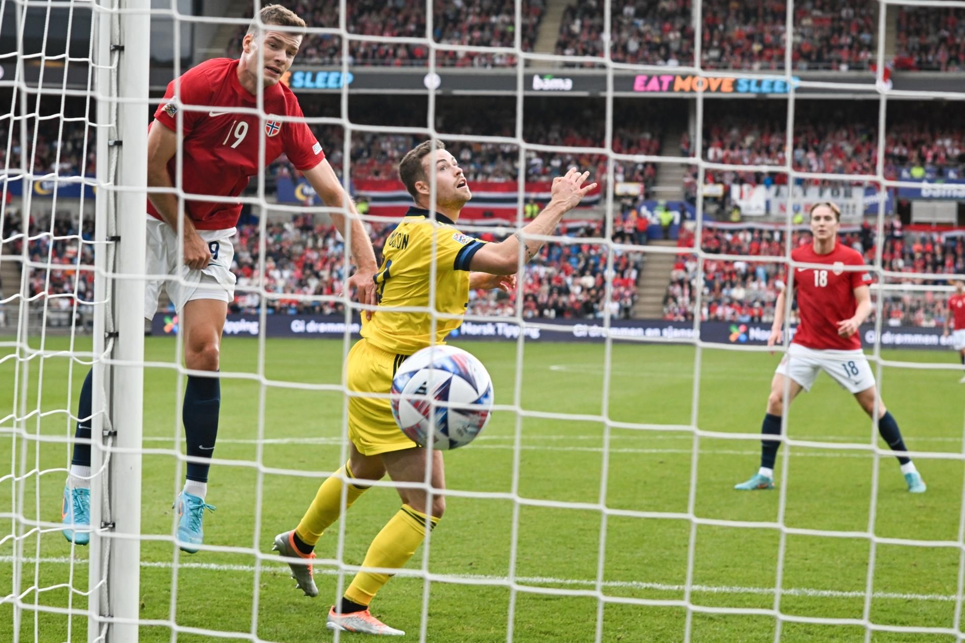 Erling Haaland anh 7